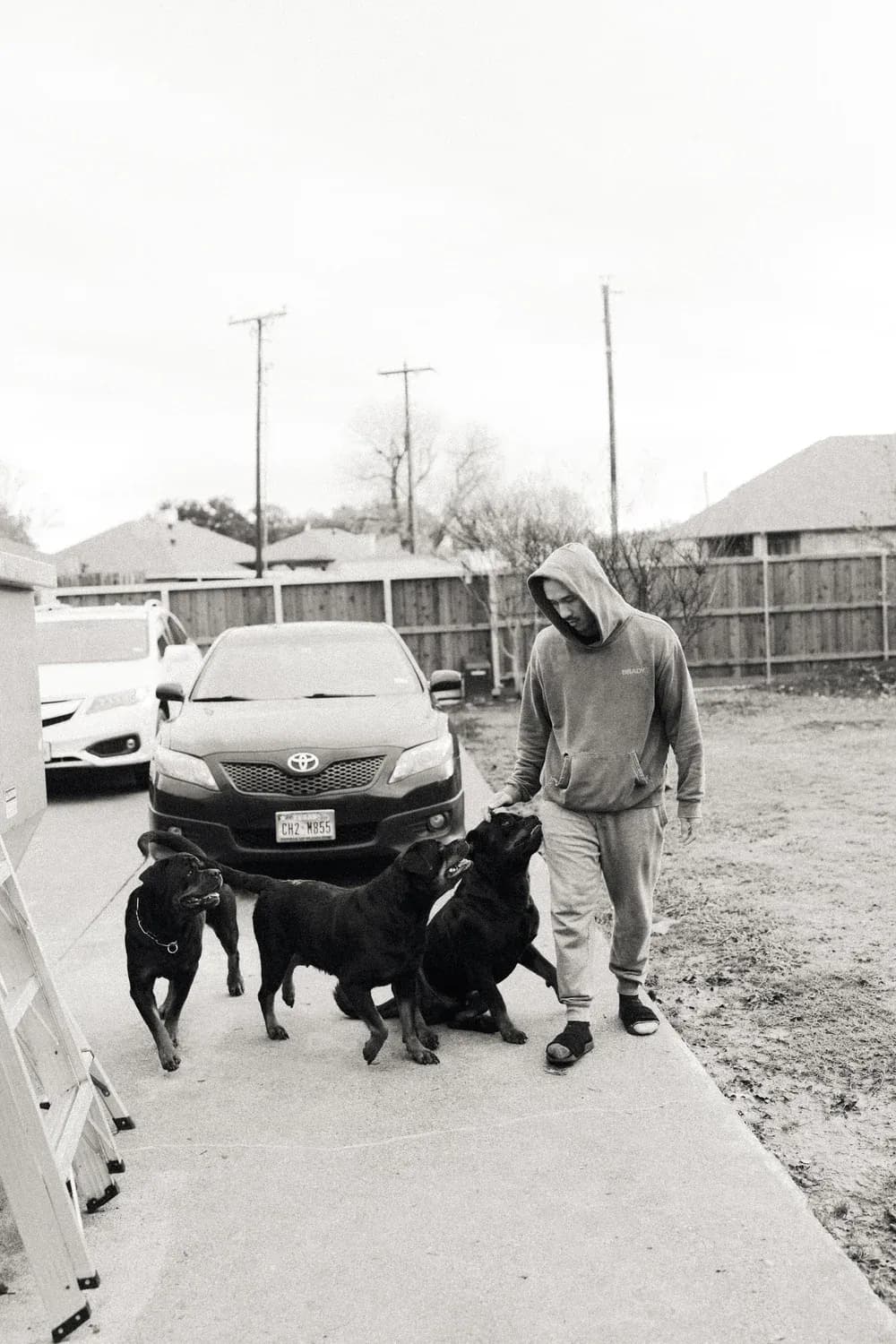 DN Rottweilers founder with dogs