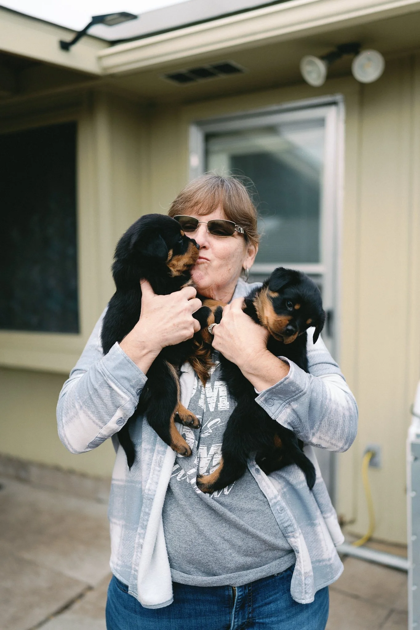 DN Rottweilers - champion bloodlines