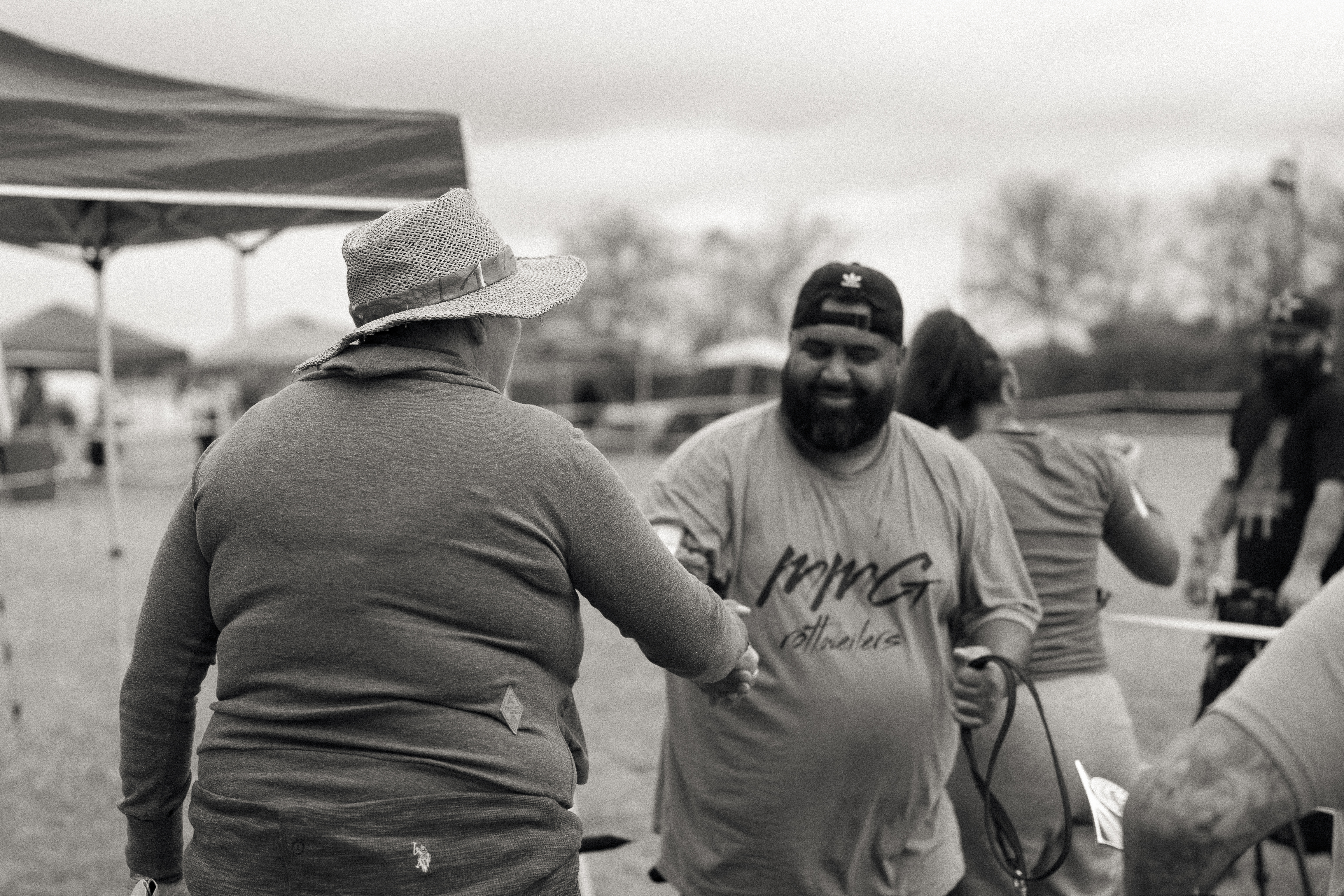 AKC Rottweiler championship competition - registered breeder Texas