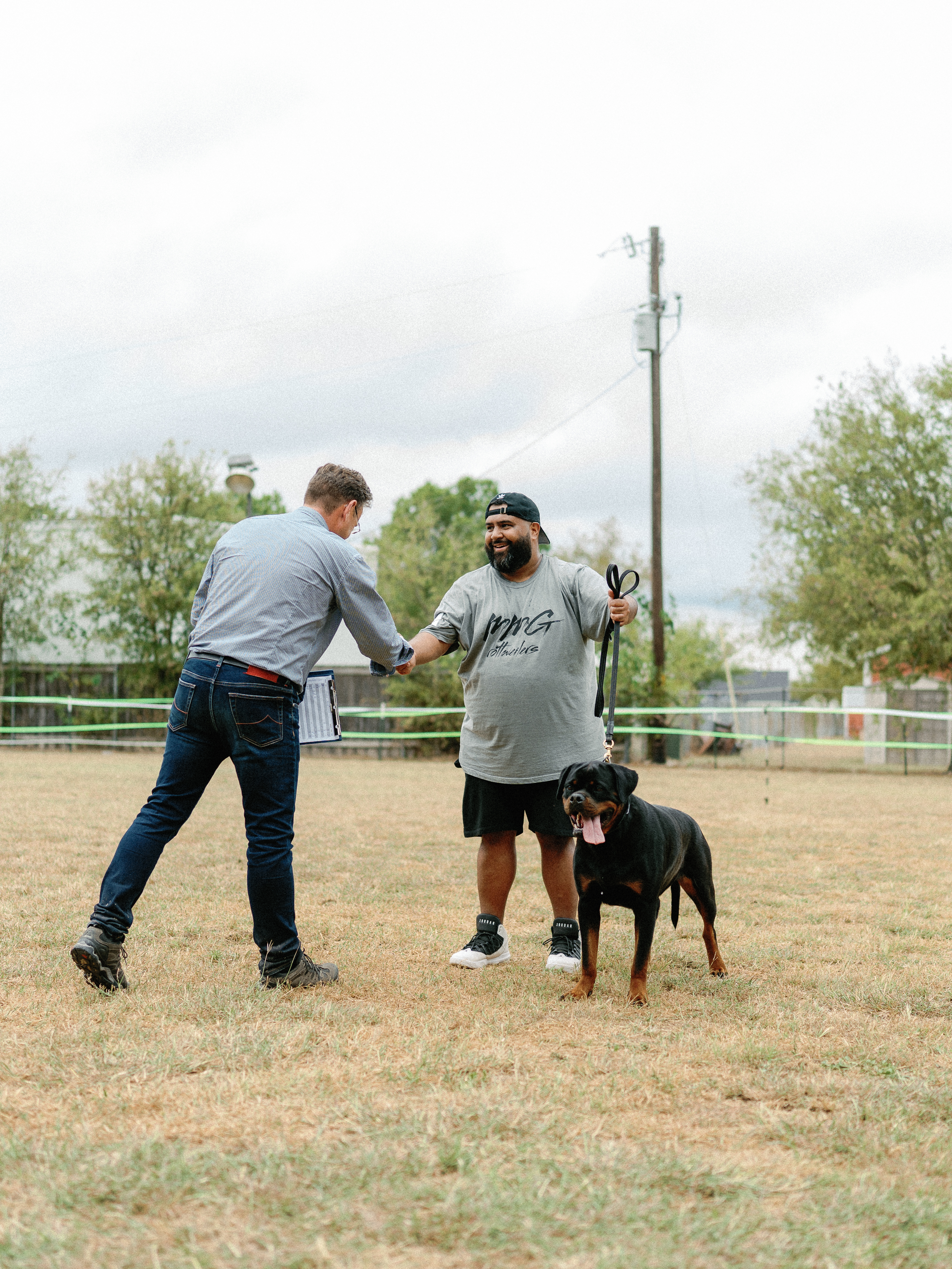 AKC Rottweiler championship competition - registered breeder Texas