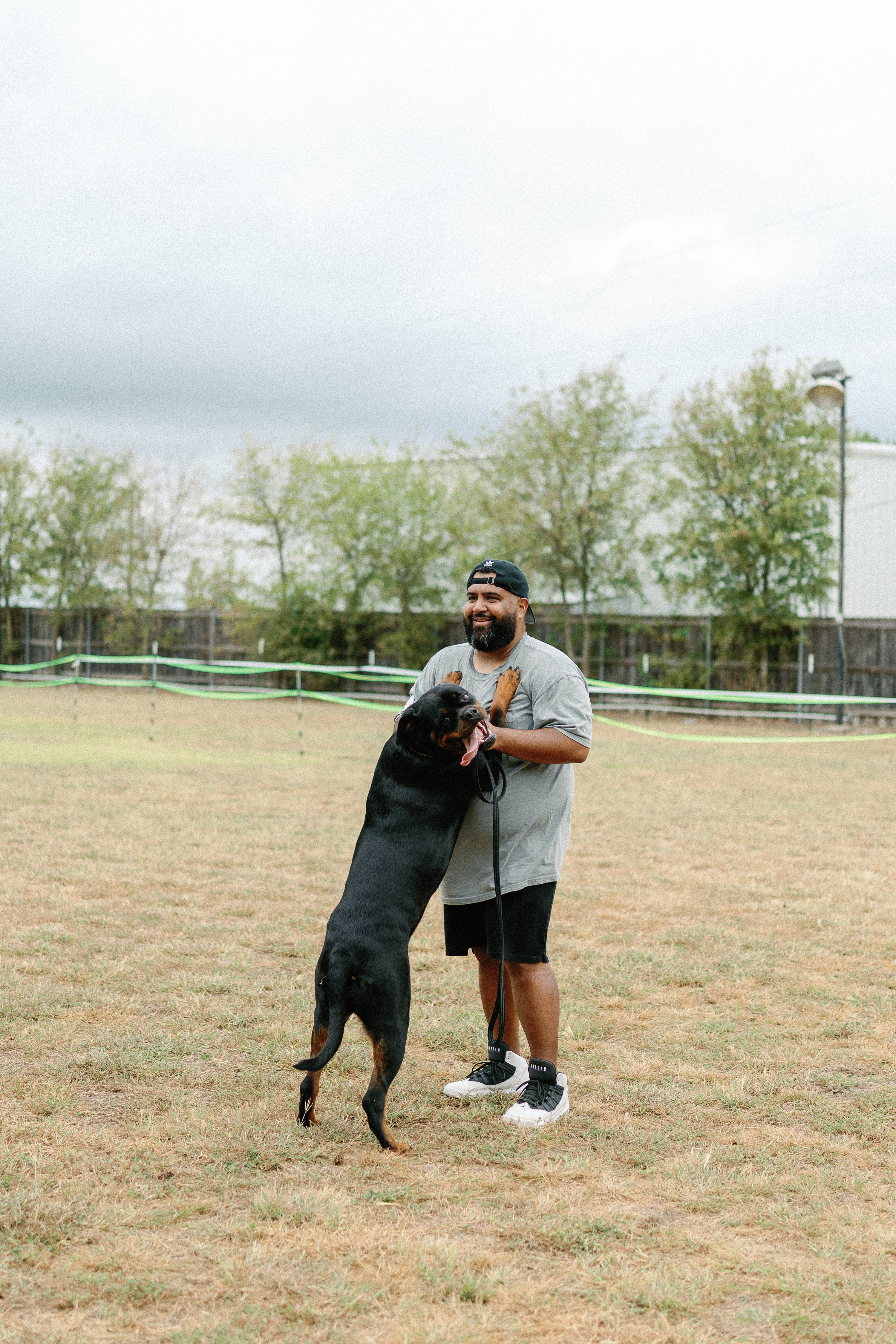 AKC Rottweiler championship competition - registered breeder Texas