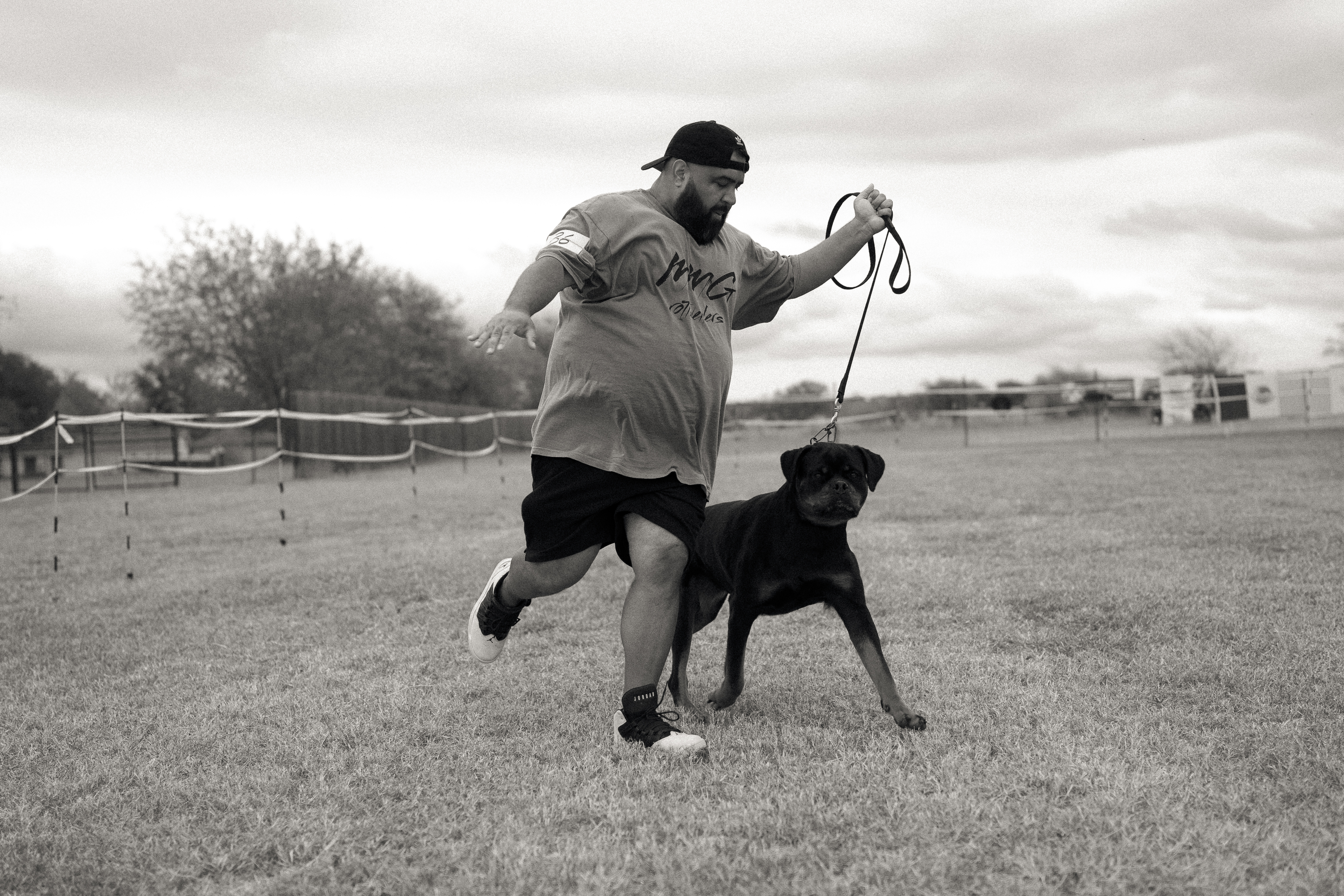 Best in show Rottweiler winner - premium breeding program