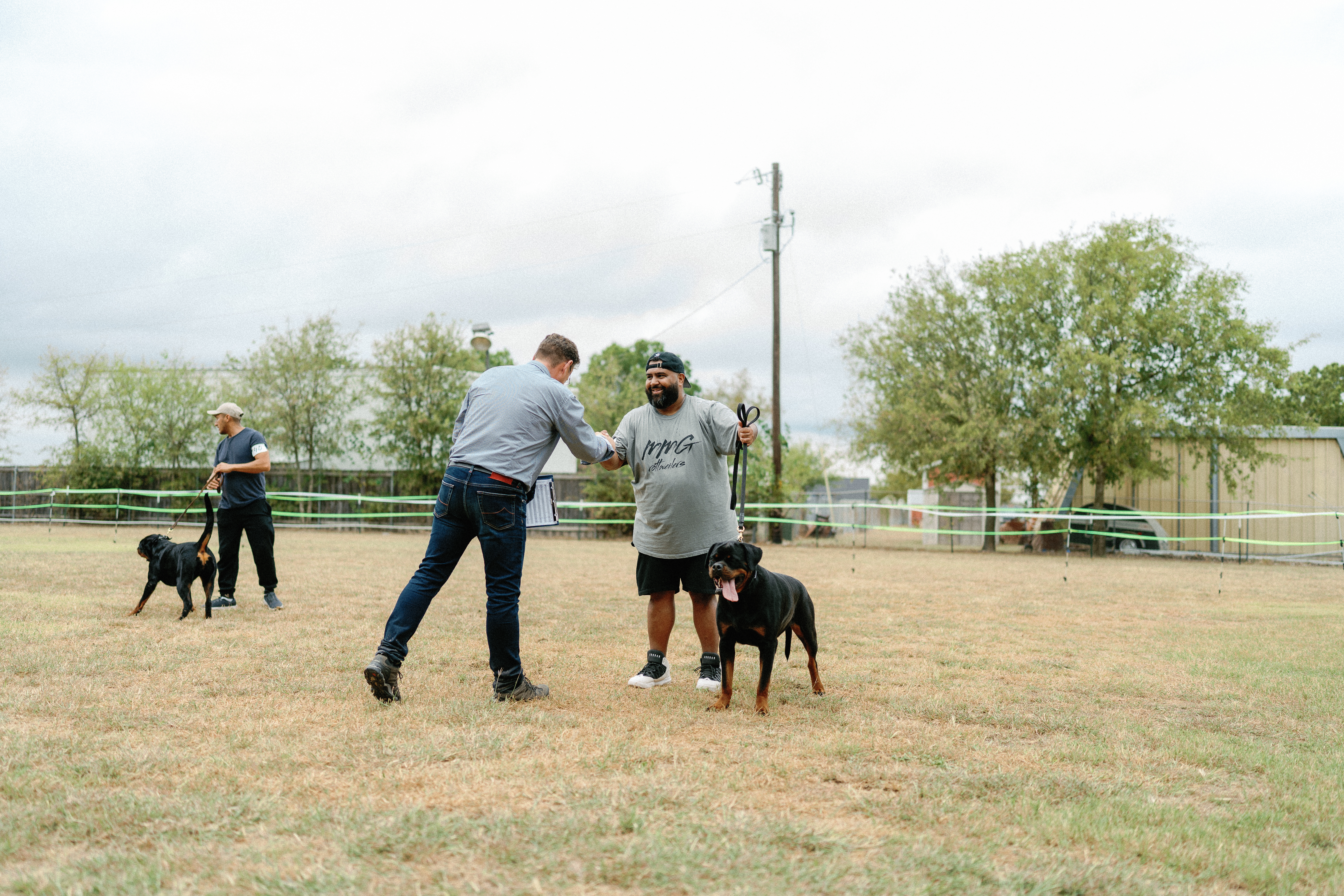Best in show Rottweiler winner - premium breeding program