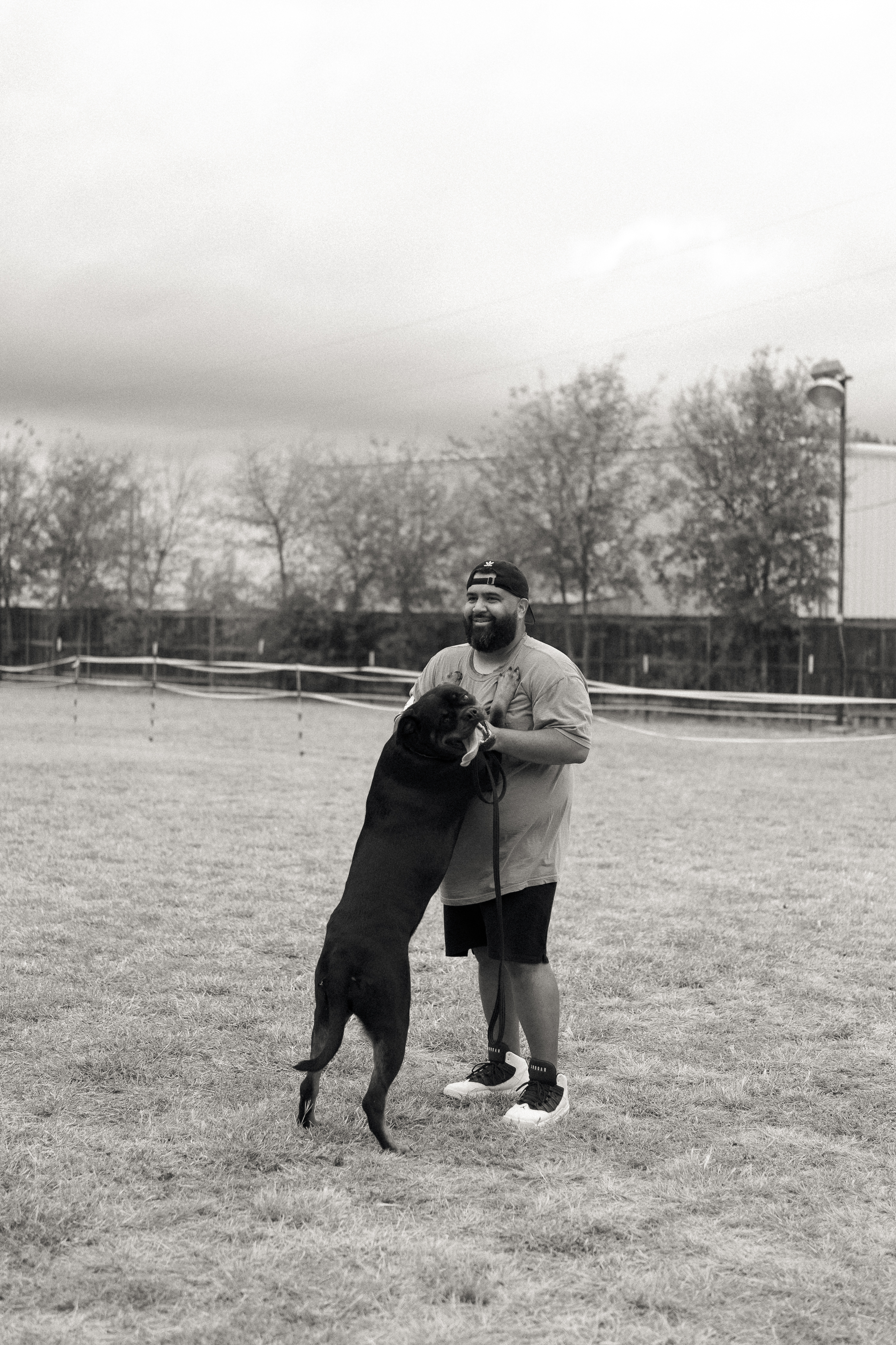 Best in show Rottweiler winner - premium breeding program