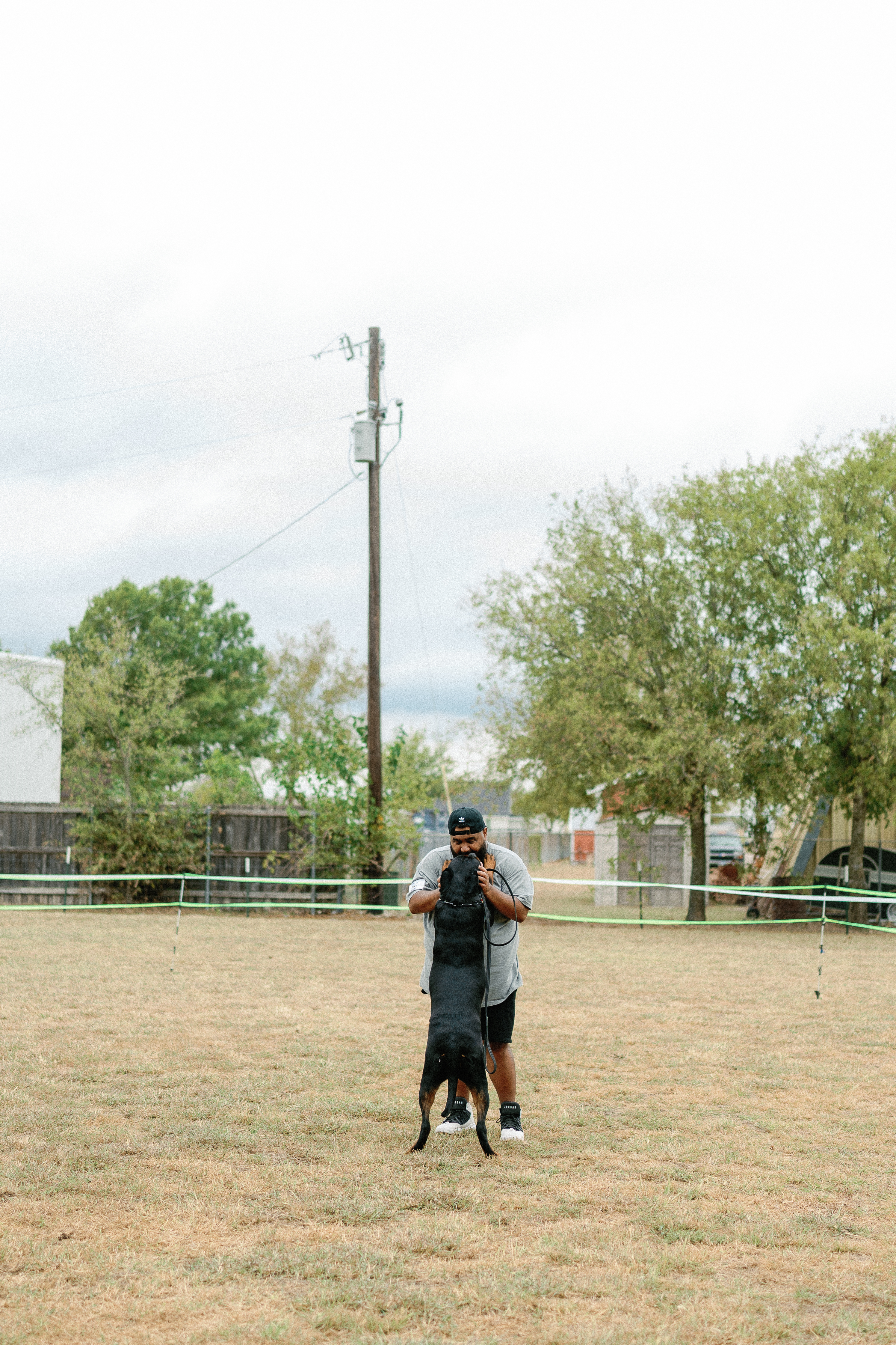 Champion German Rottweiler - imported European bloodline Texas