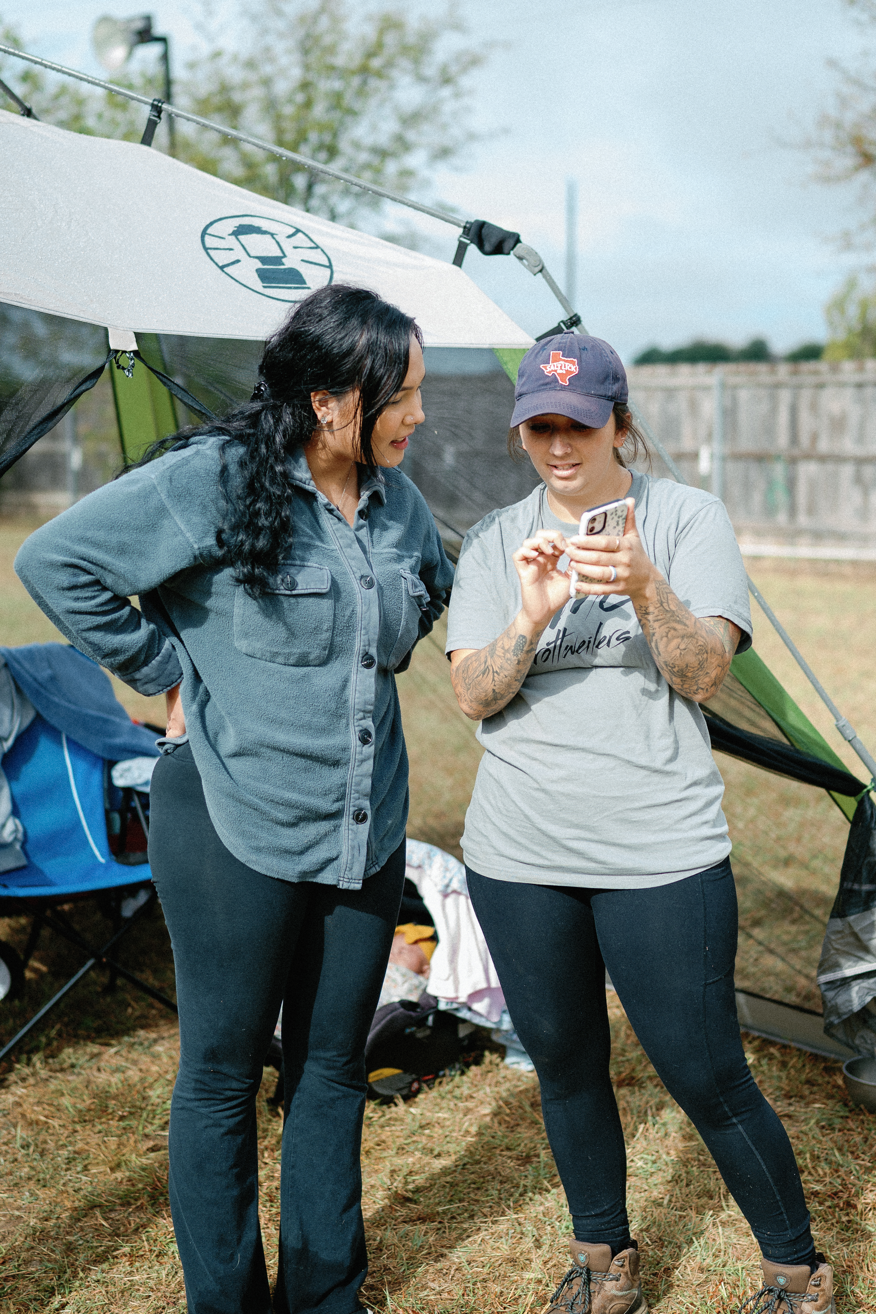 Champion German Rottweiler - imported European bloodline Texas