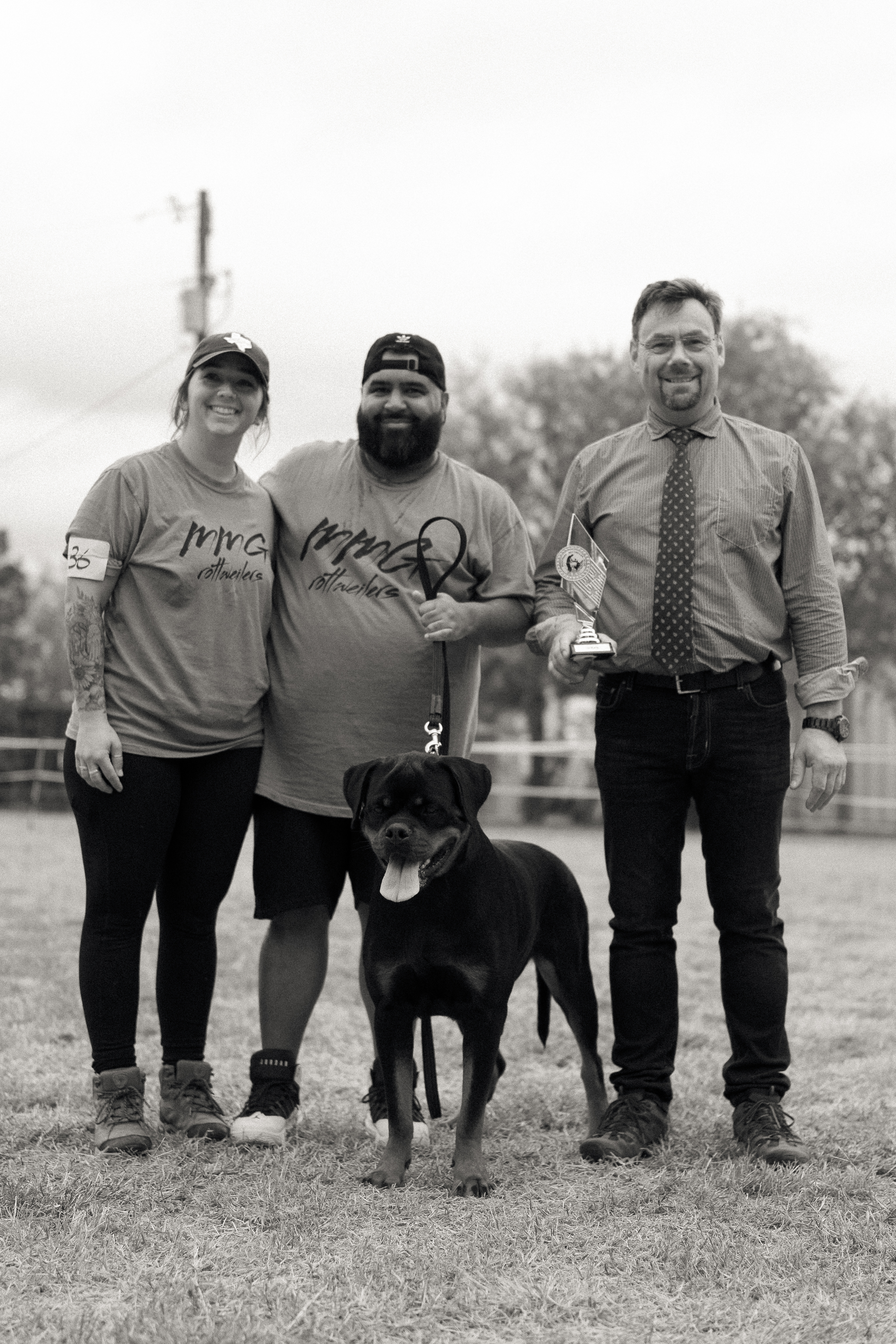 Champion Rottweiler in show ring conformation - professional handler Texas
