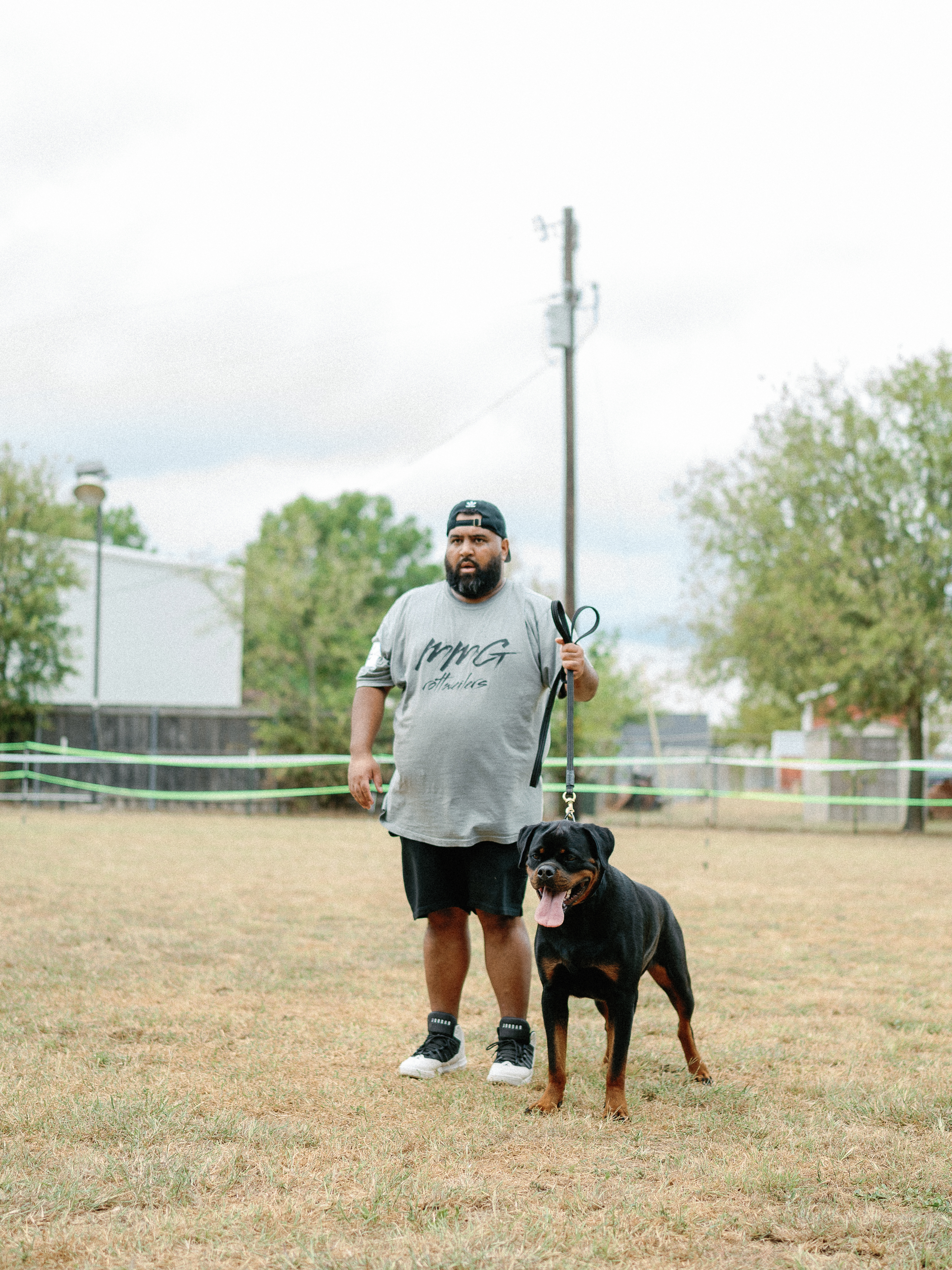 Champion Rottweiler in show ring conformation - professional handler Texas