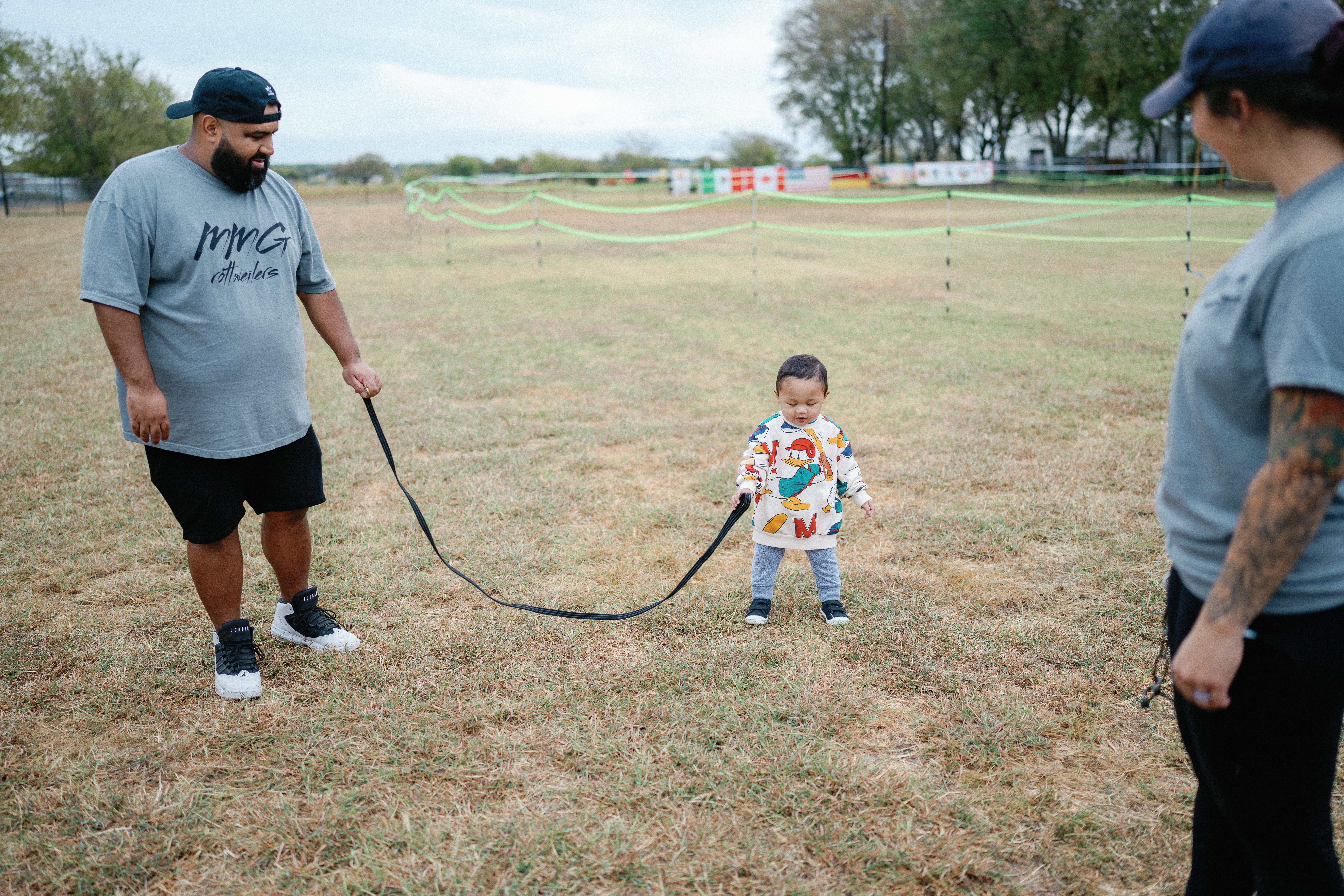 Elite Rottweiler bloodline - champion pedigree breeding stock