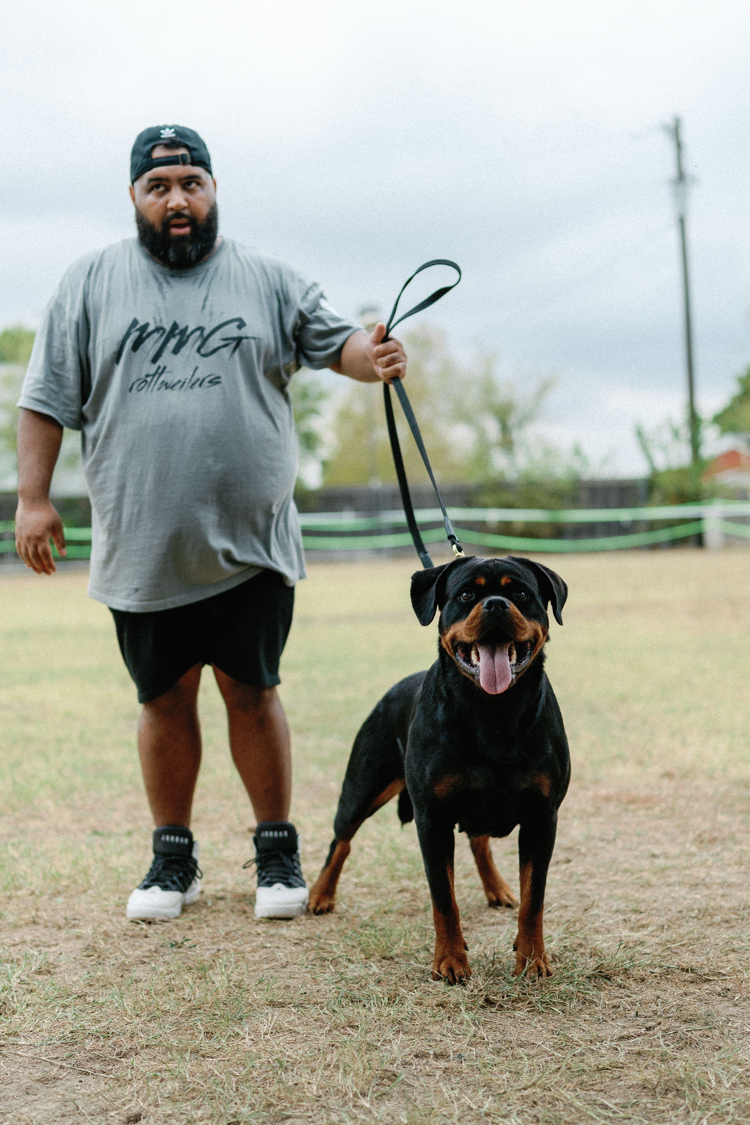 German Rottweiler at professional dog show competition - MMG Rottweilers Texas