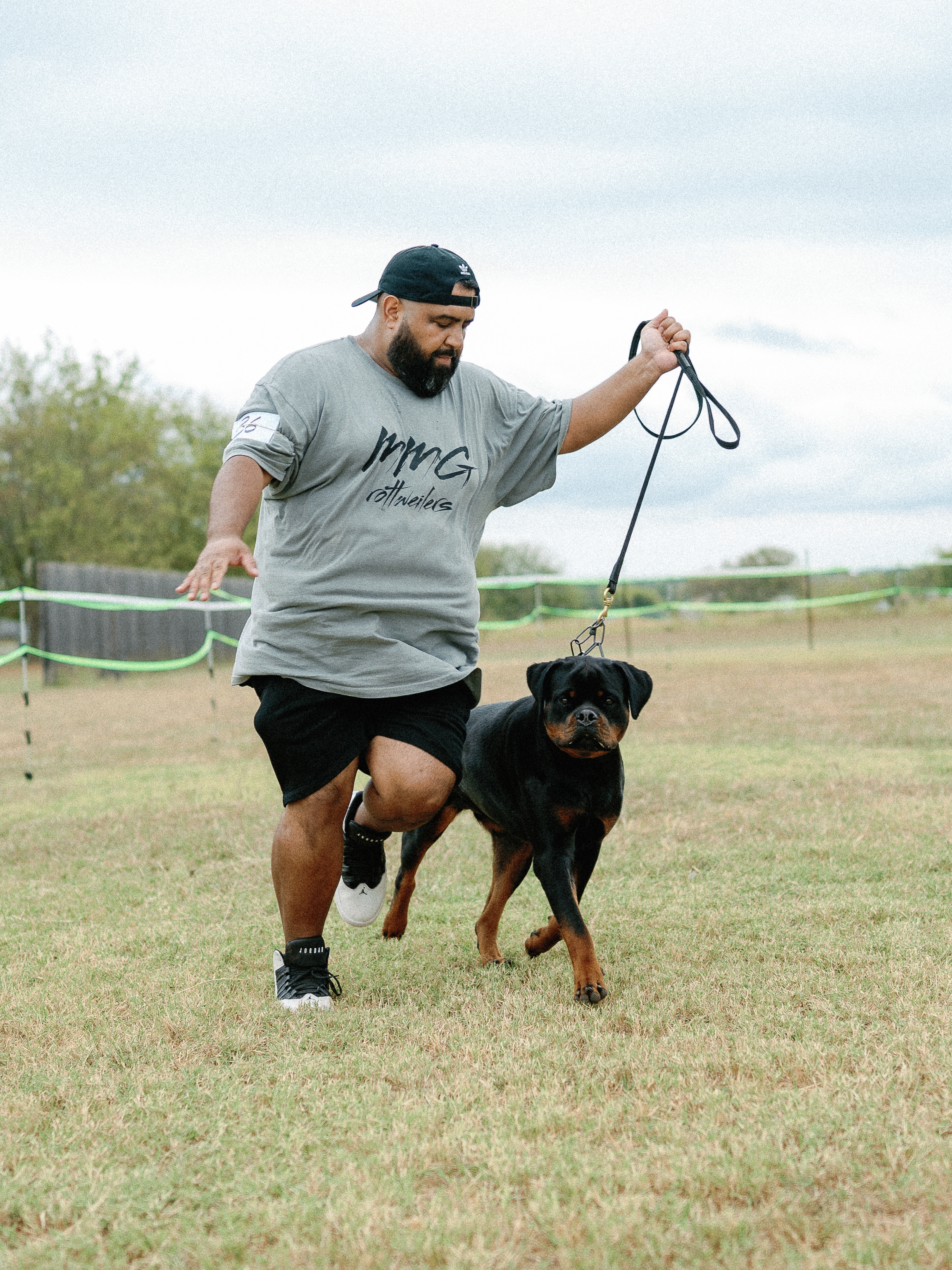 German Rottweiler at professional dog show competition - MMG Rottweilers Texas