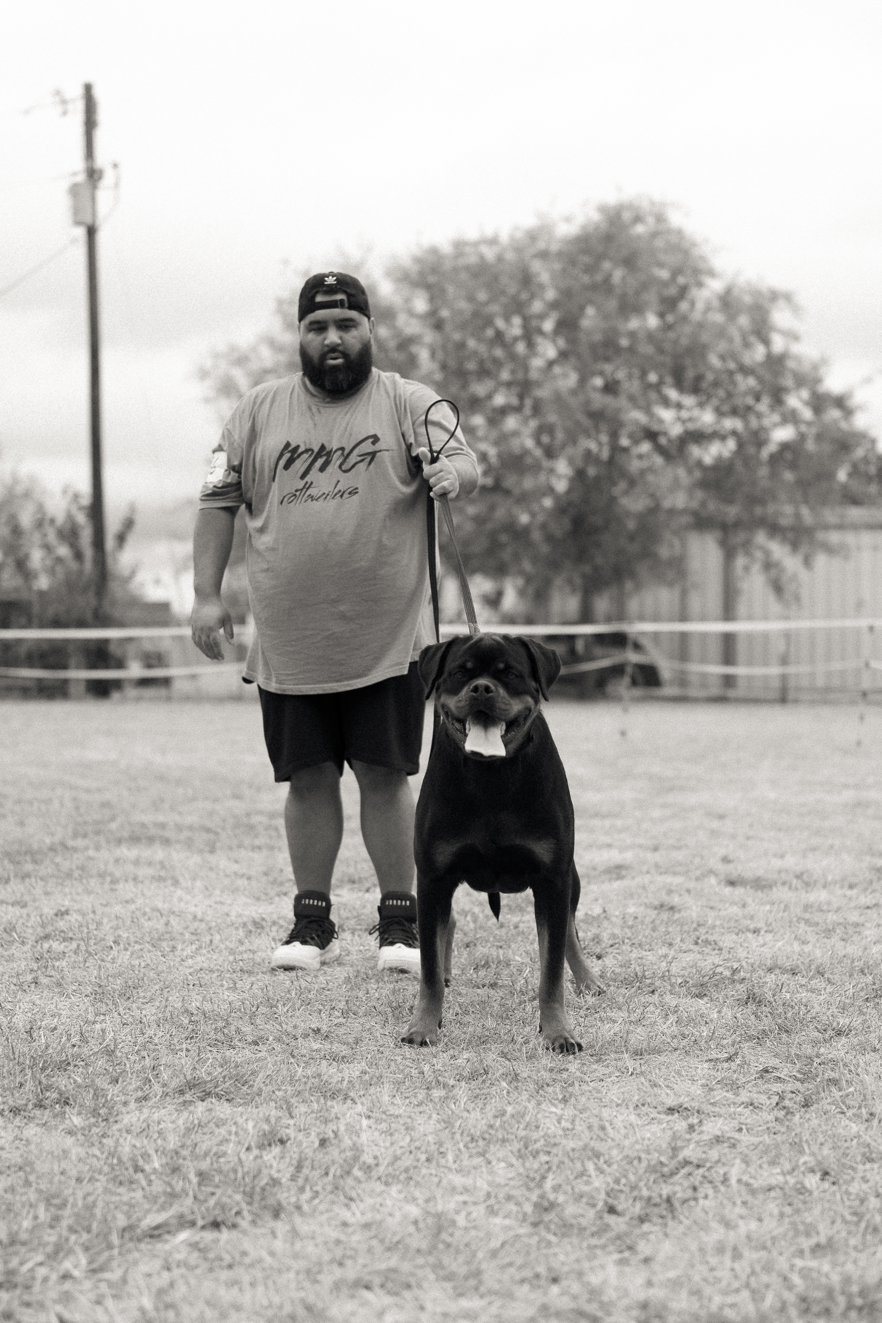 German Rottweiler at professional dog show competition - MMG Rottweilers Texas