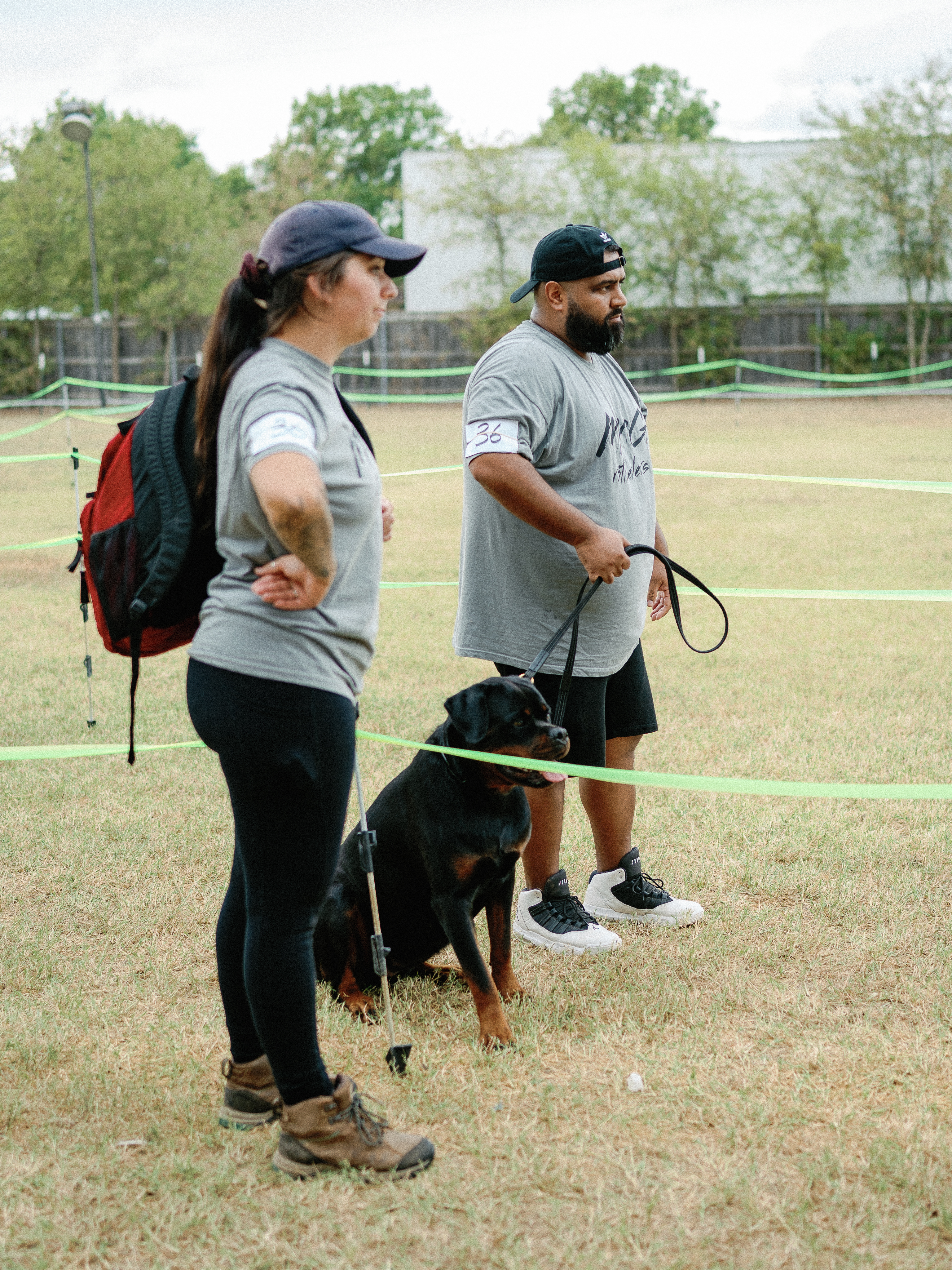 Premium Rottweiler breeder - health tested breeding dogs