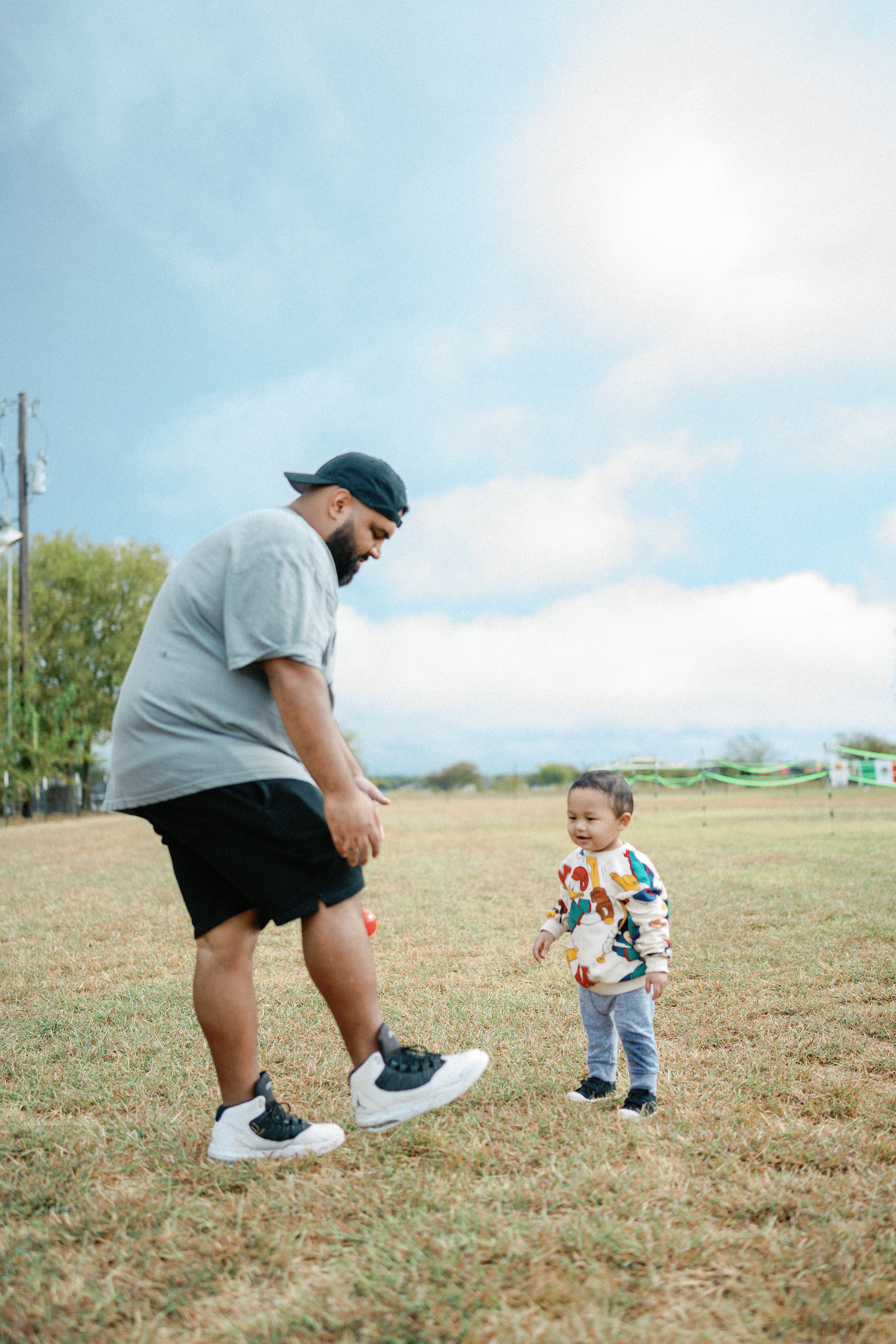 Premium Rottweiler breeder - health tested breeding dogs