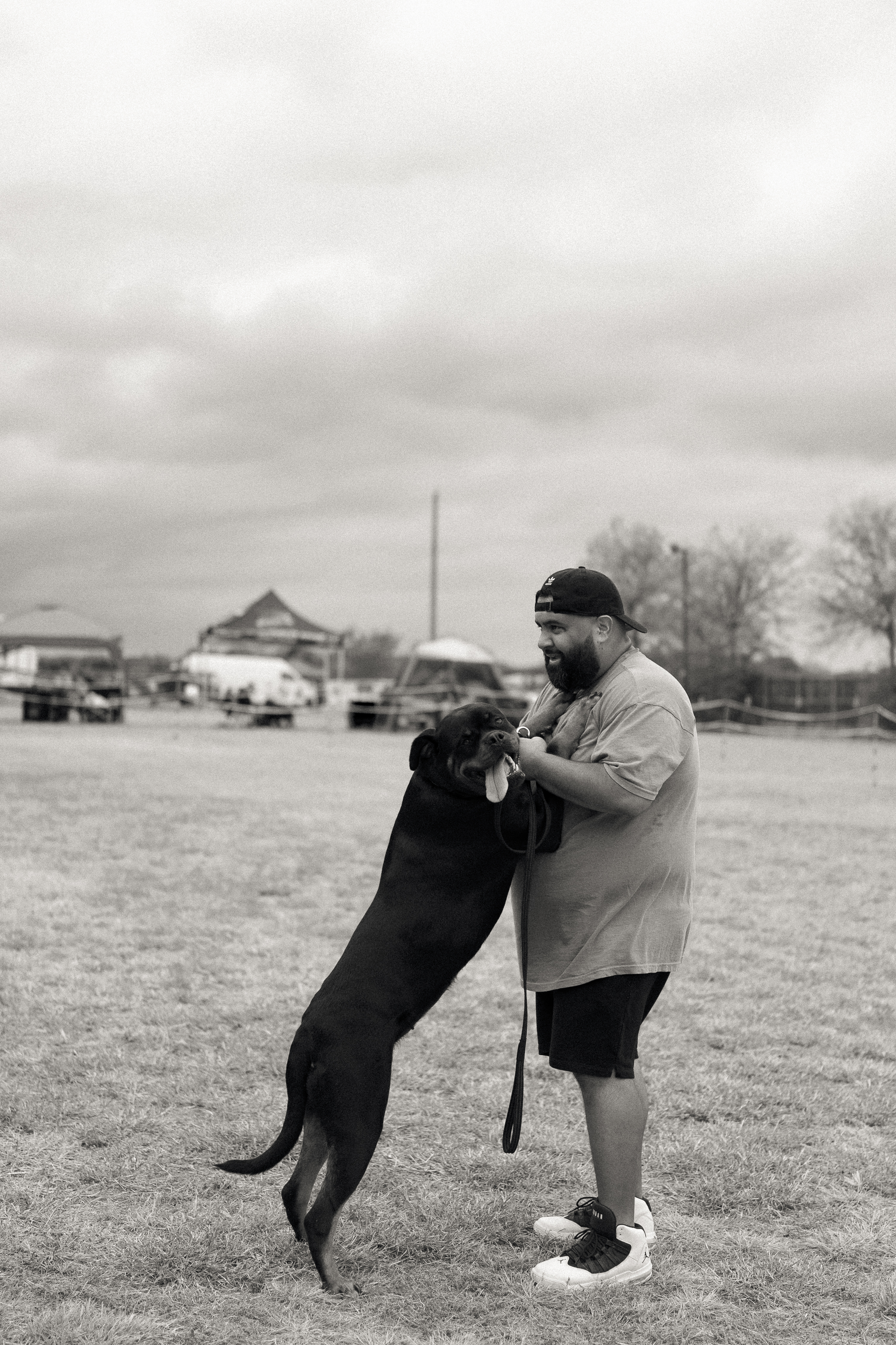 Premium Rottweiler breeder - health tested breeding dogs