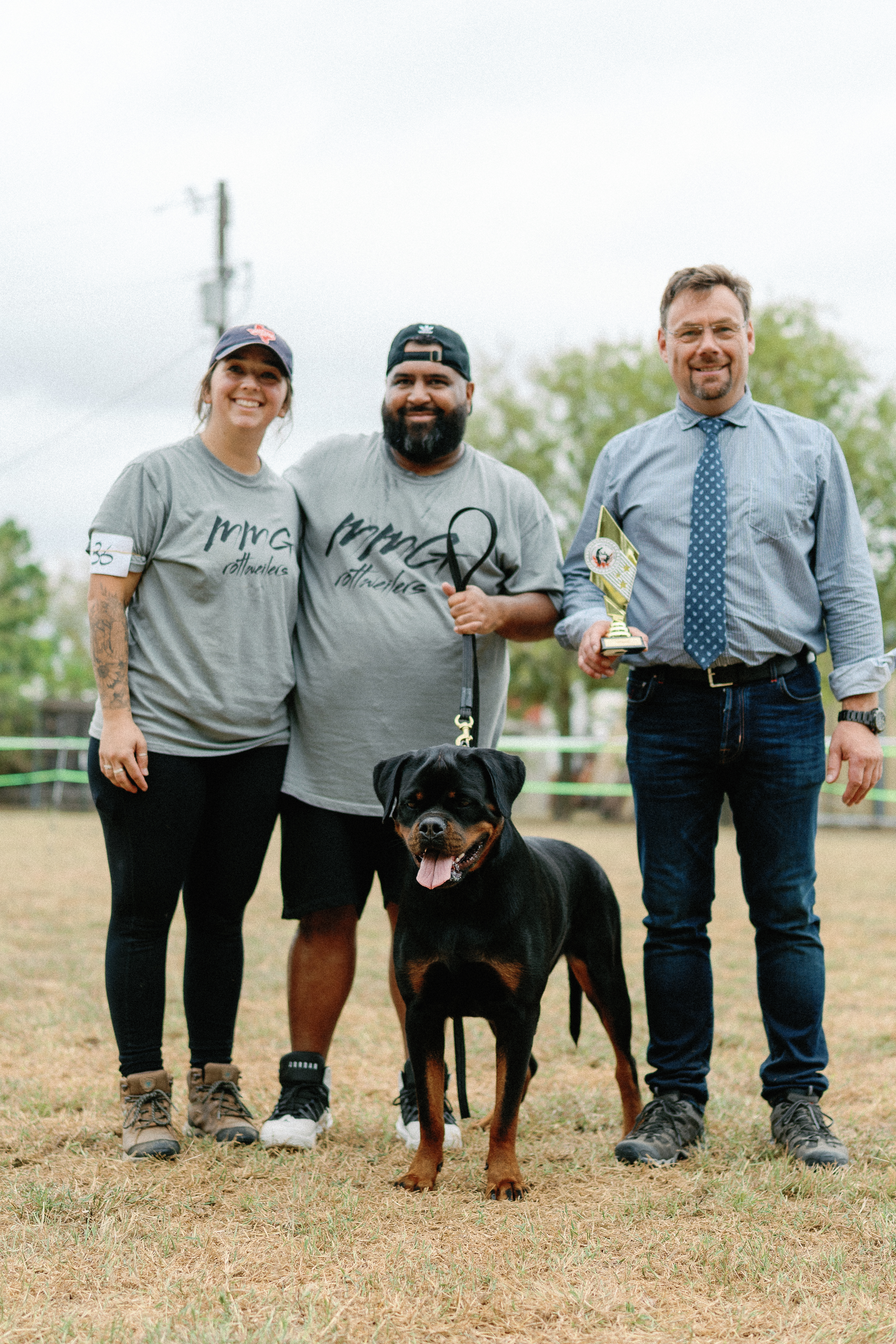 Premium Rottweiler breeder - health tested breeding dogs