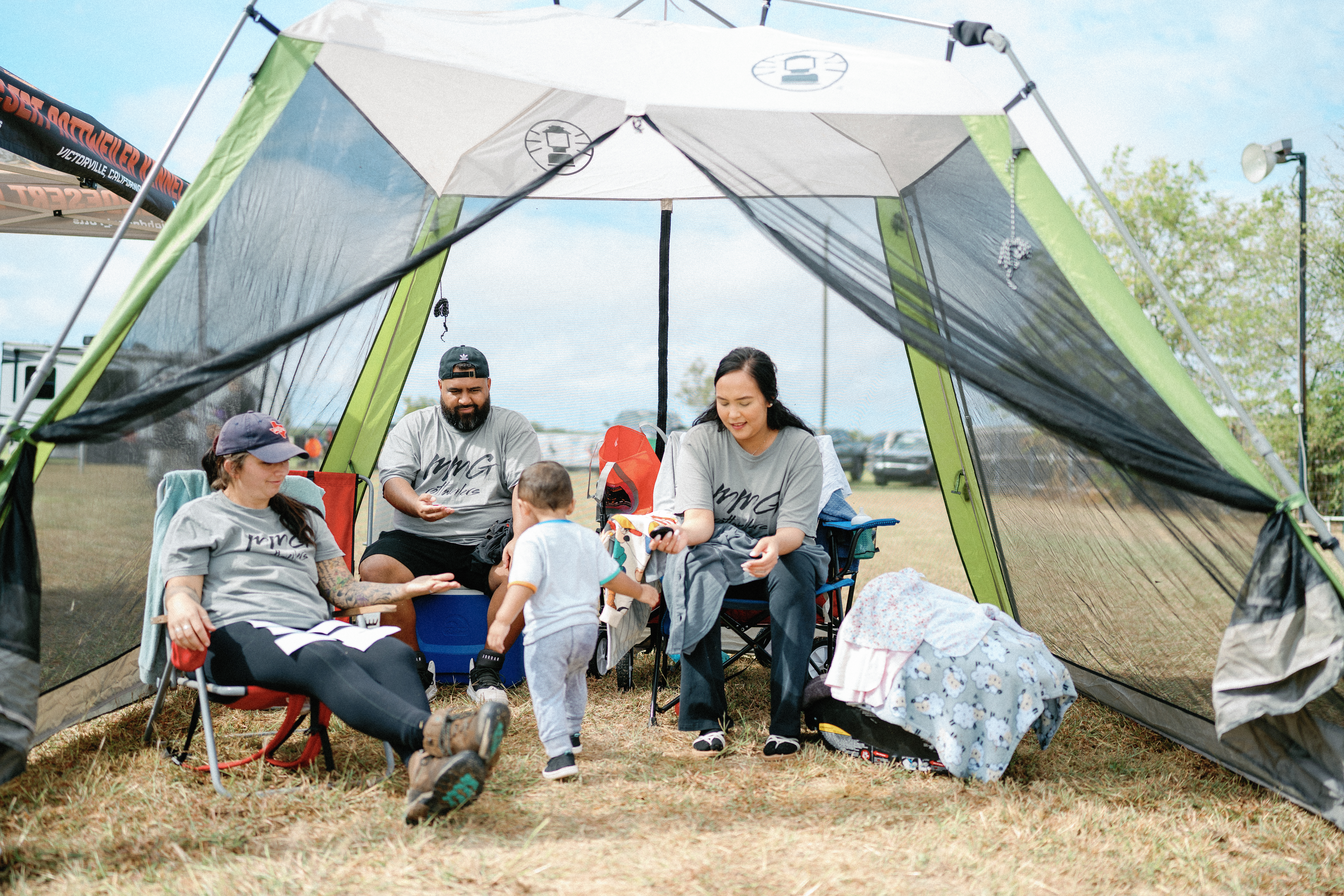 Rottweiler breed standard - correct structure and type