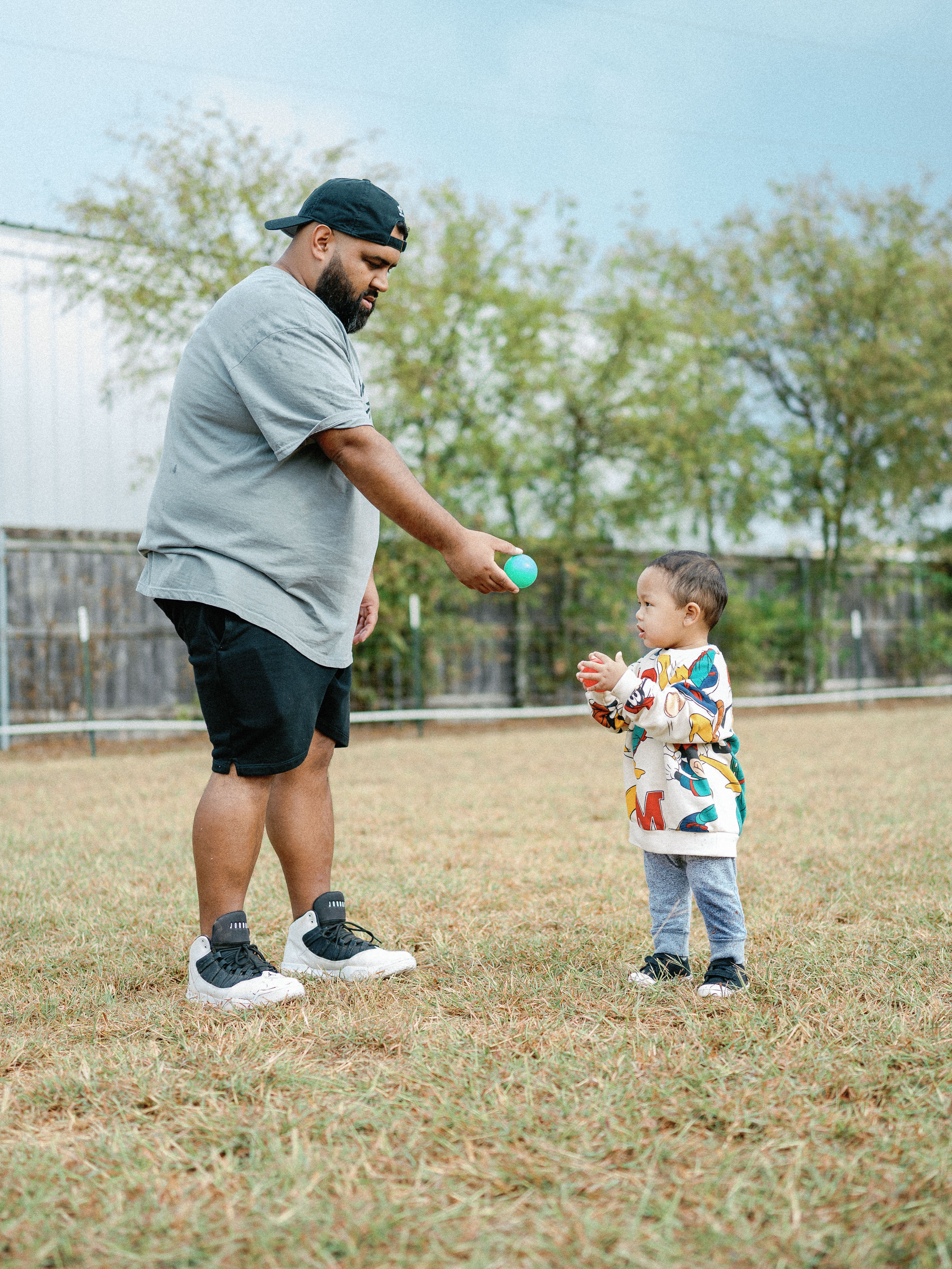 Rottweiler breed standard - correct structure and type