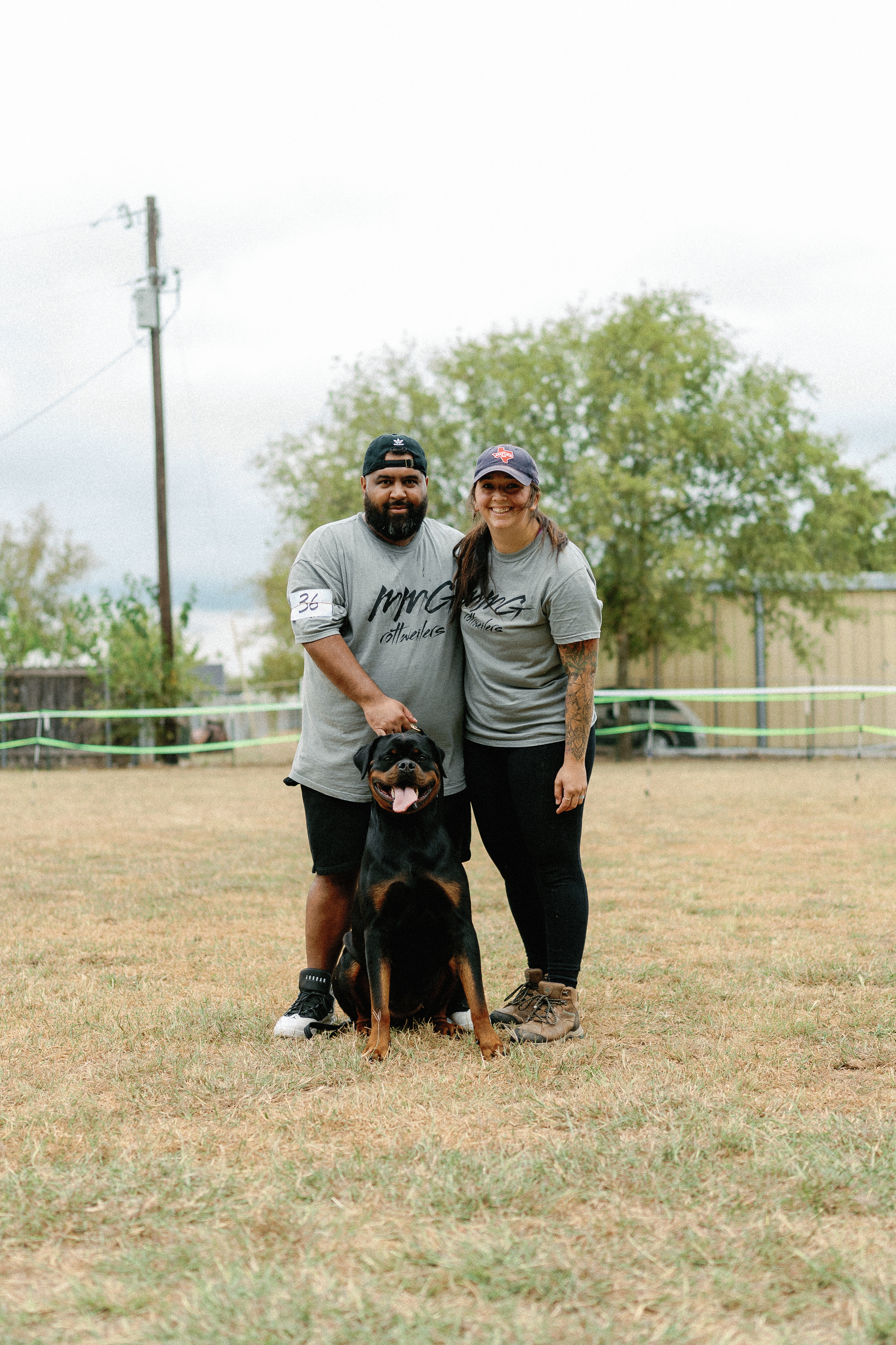 Rottweiler breed standard - correct structure and type