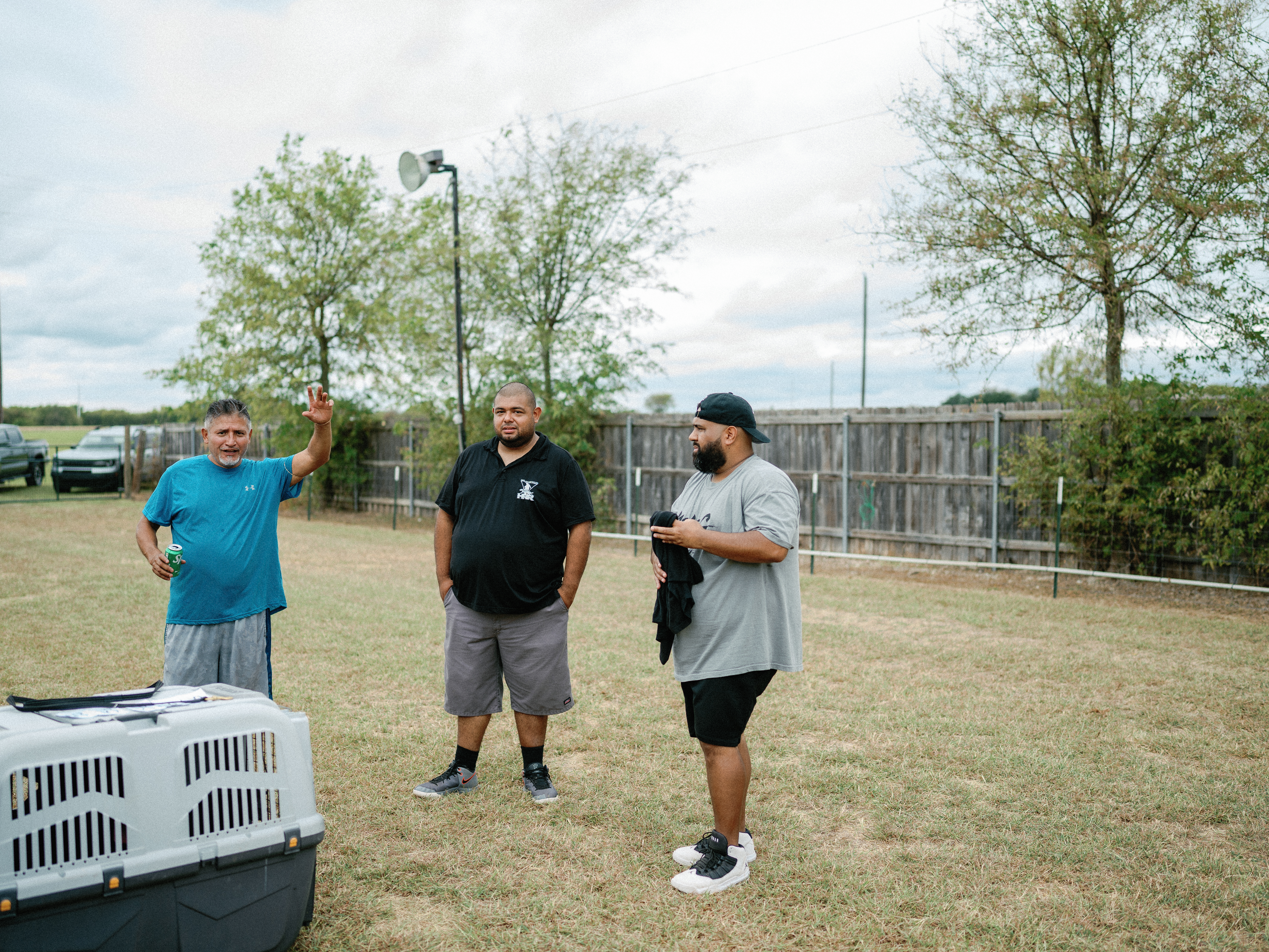 Rottweiler breeder competition - professional breeding program