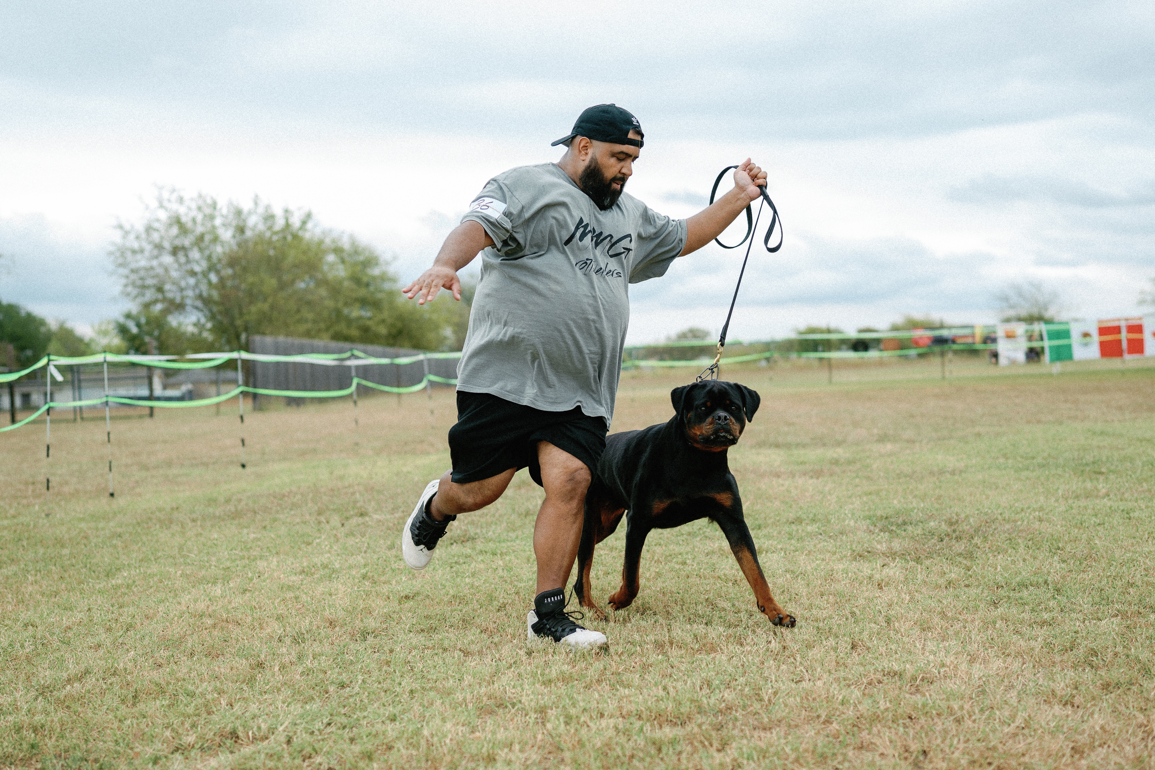 Rottweiler breeder competition - professional breeding program