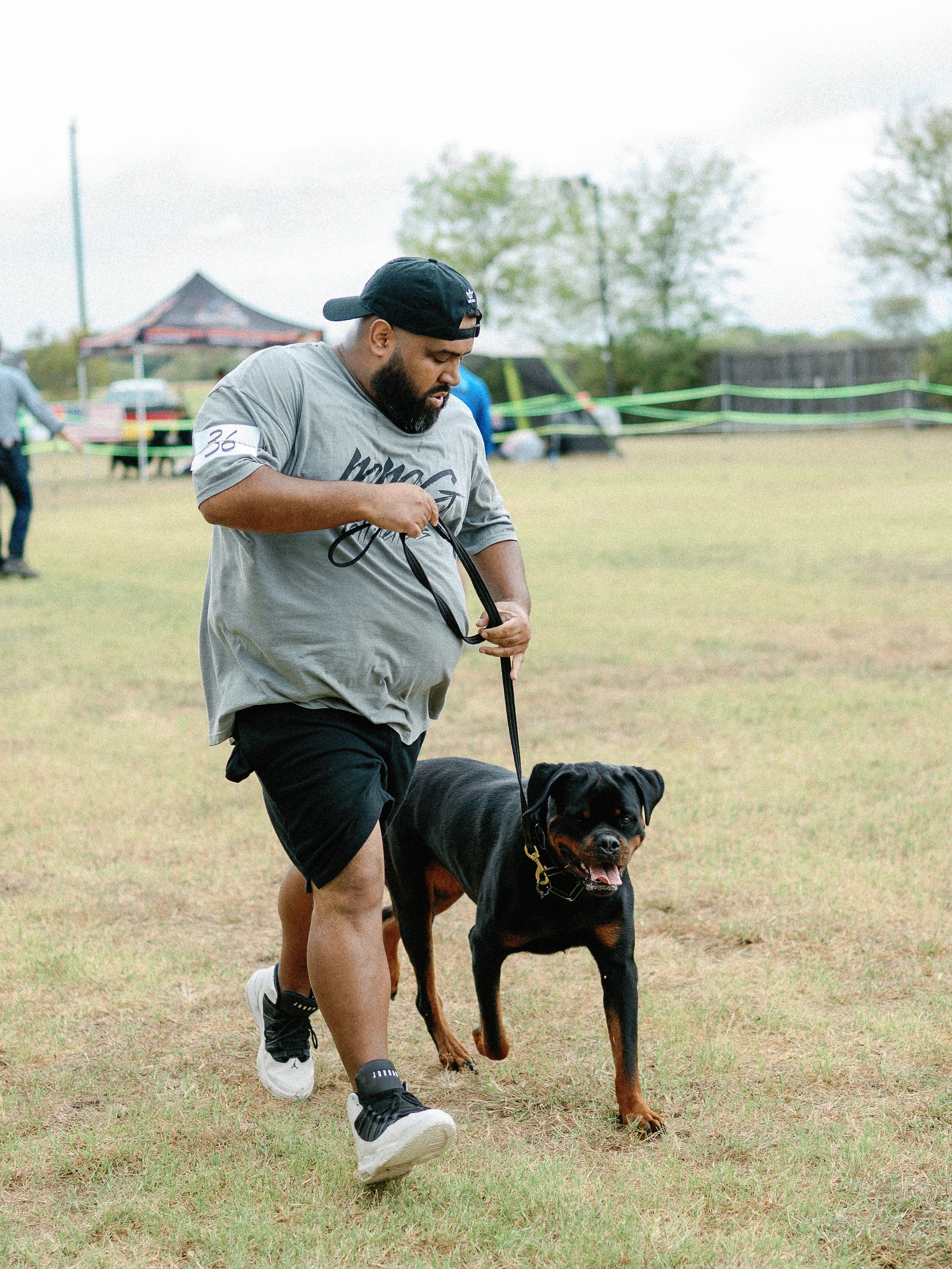 Rottweiler breeder competition - professional breeding program