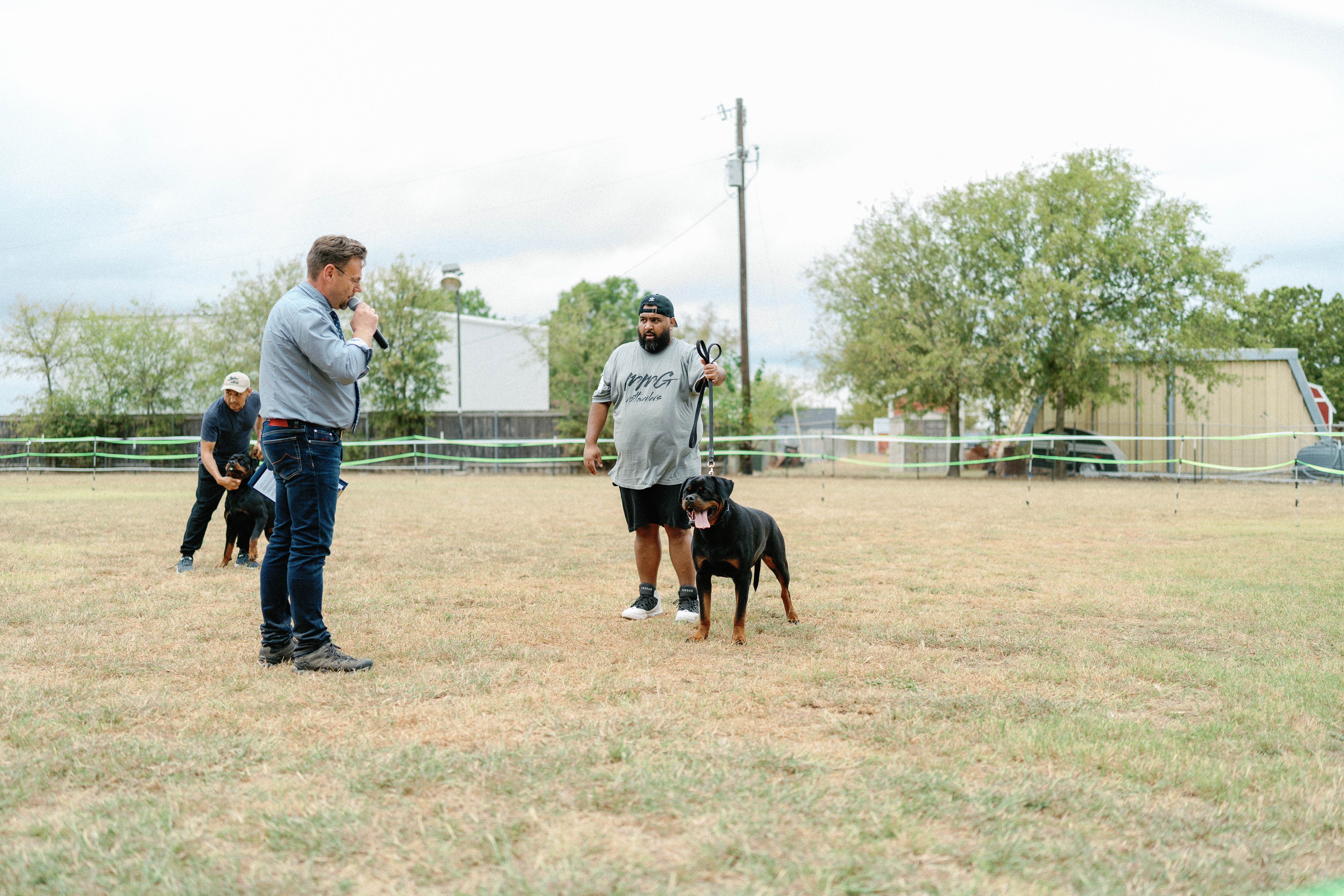 Rottweiler breeder competition - professional breeding program