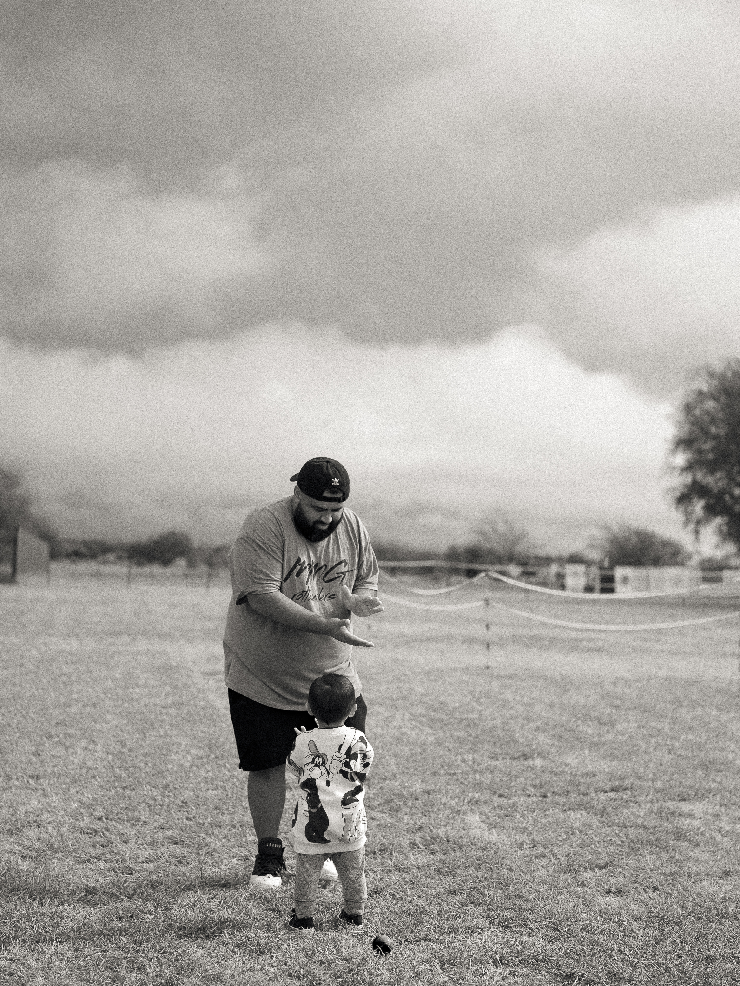 Rottweiler breeder competition - professional breeding program