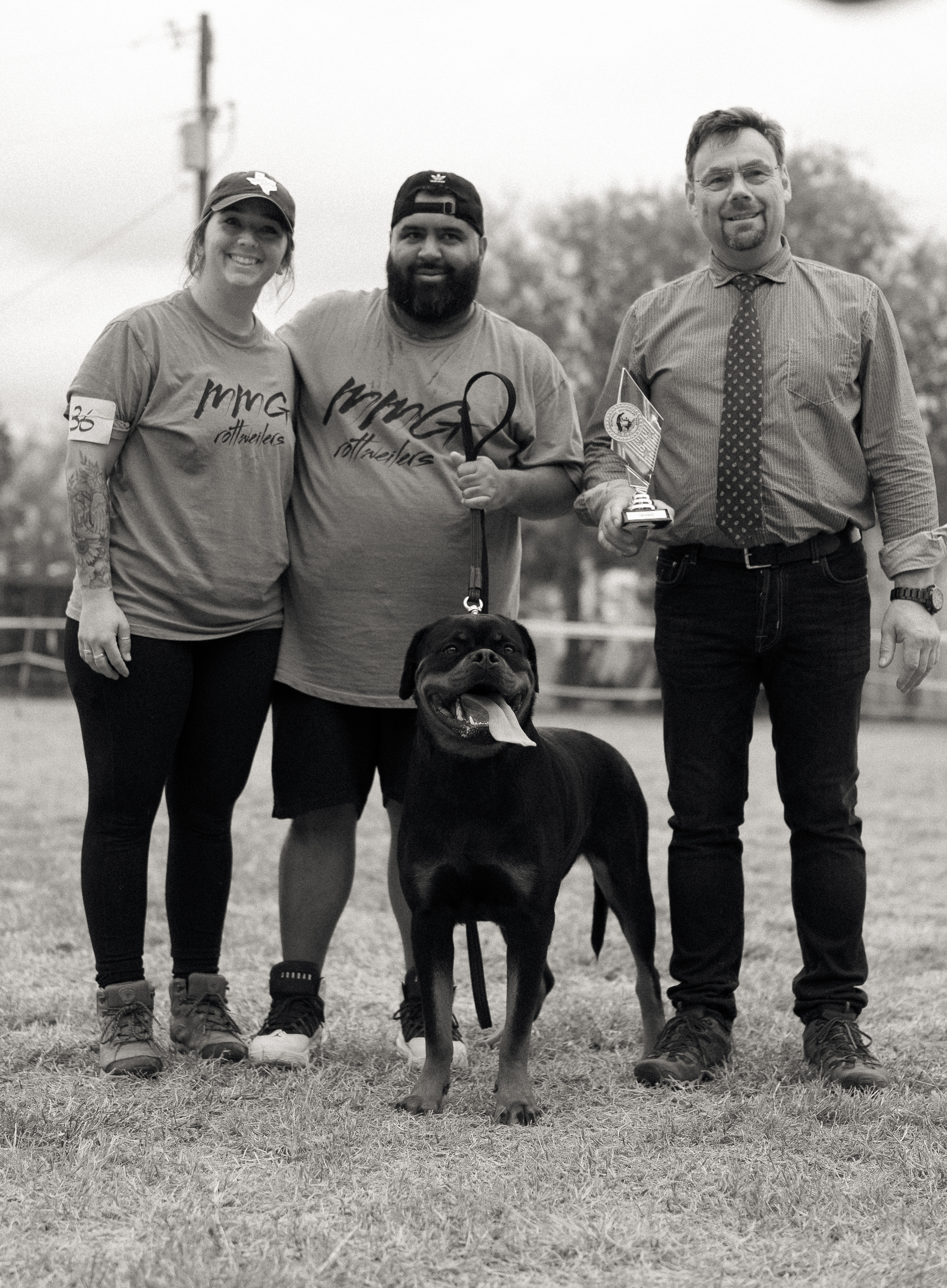 Rottweiler conformation show - structure evaluation