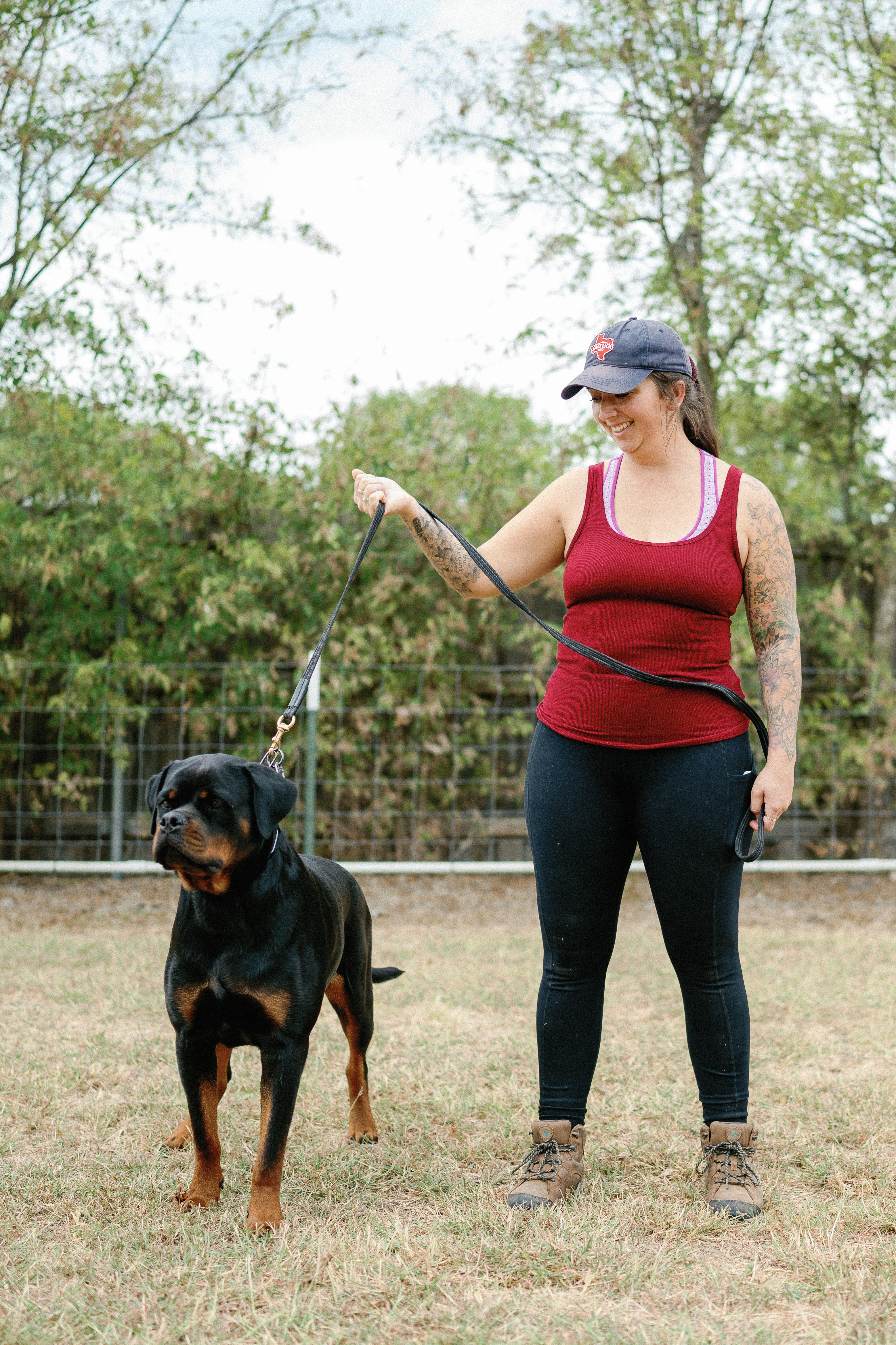Rottweiler kennel club show - registered purebred competition