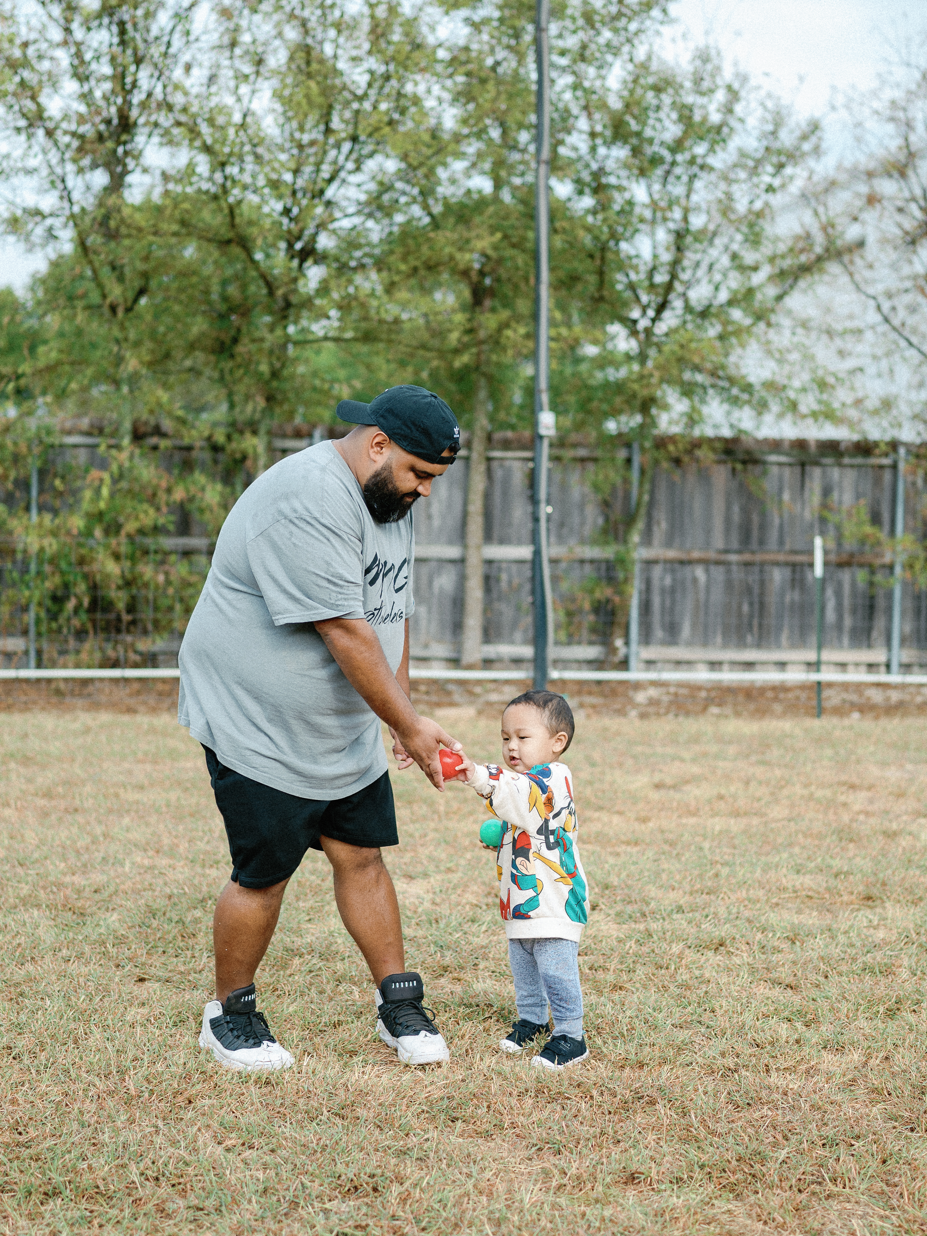 Rottweiler show champion - conformation winning dog