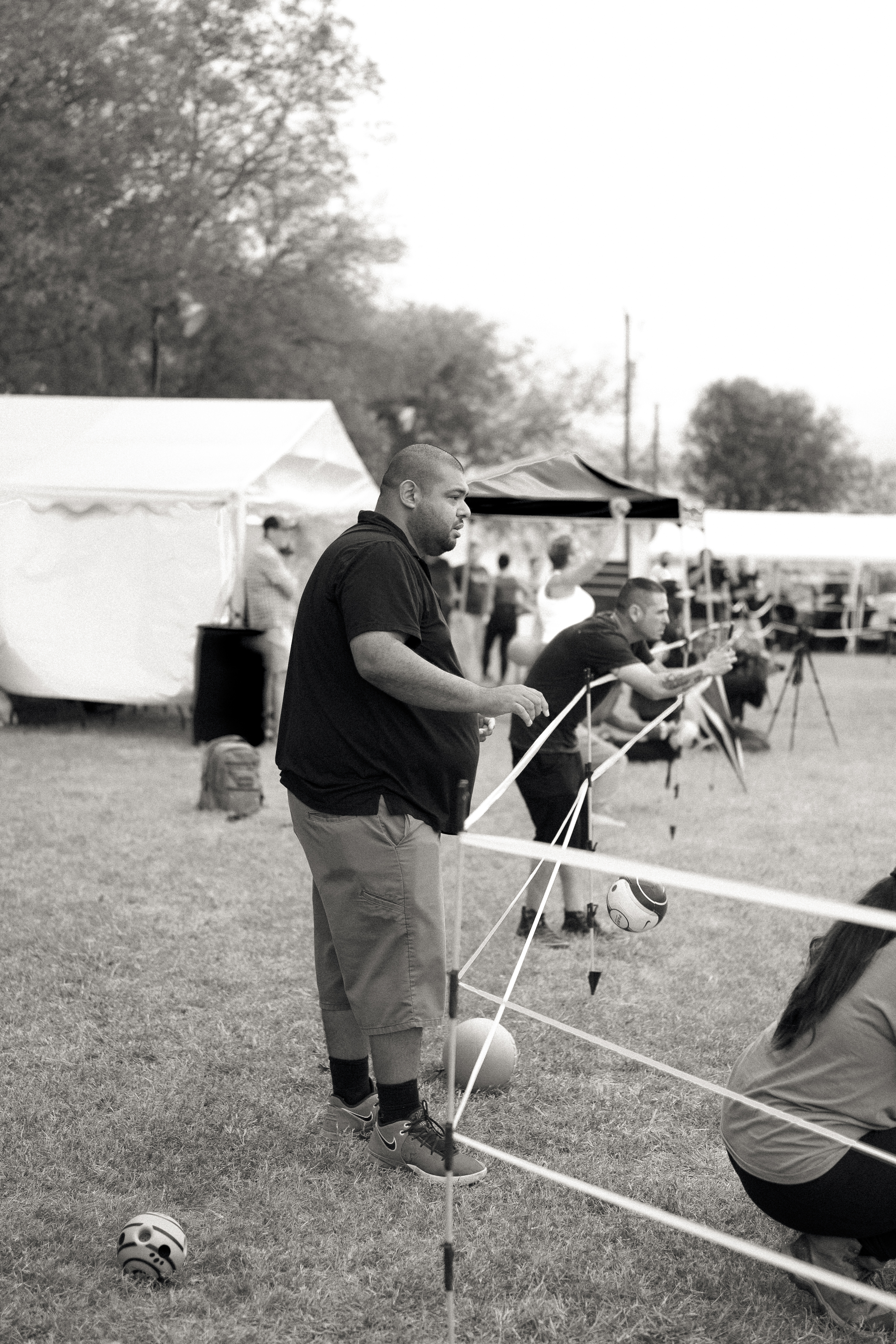 Rottweiler show champion - conformation winning dog