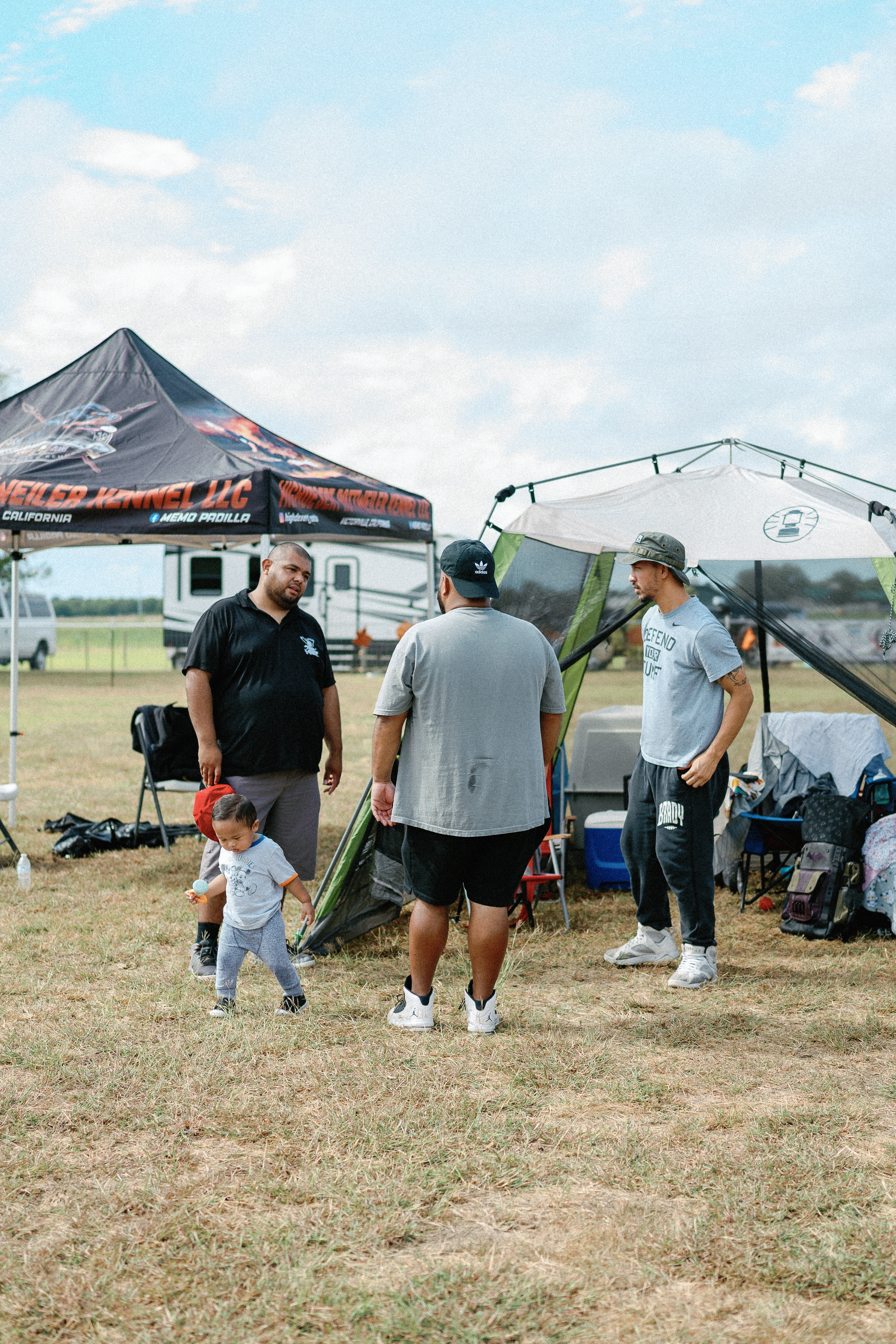 Rottweiler show dog winner - competition excellence