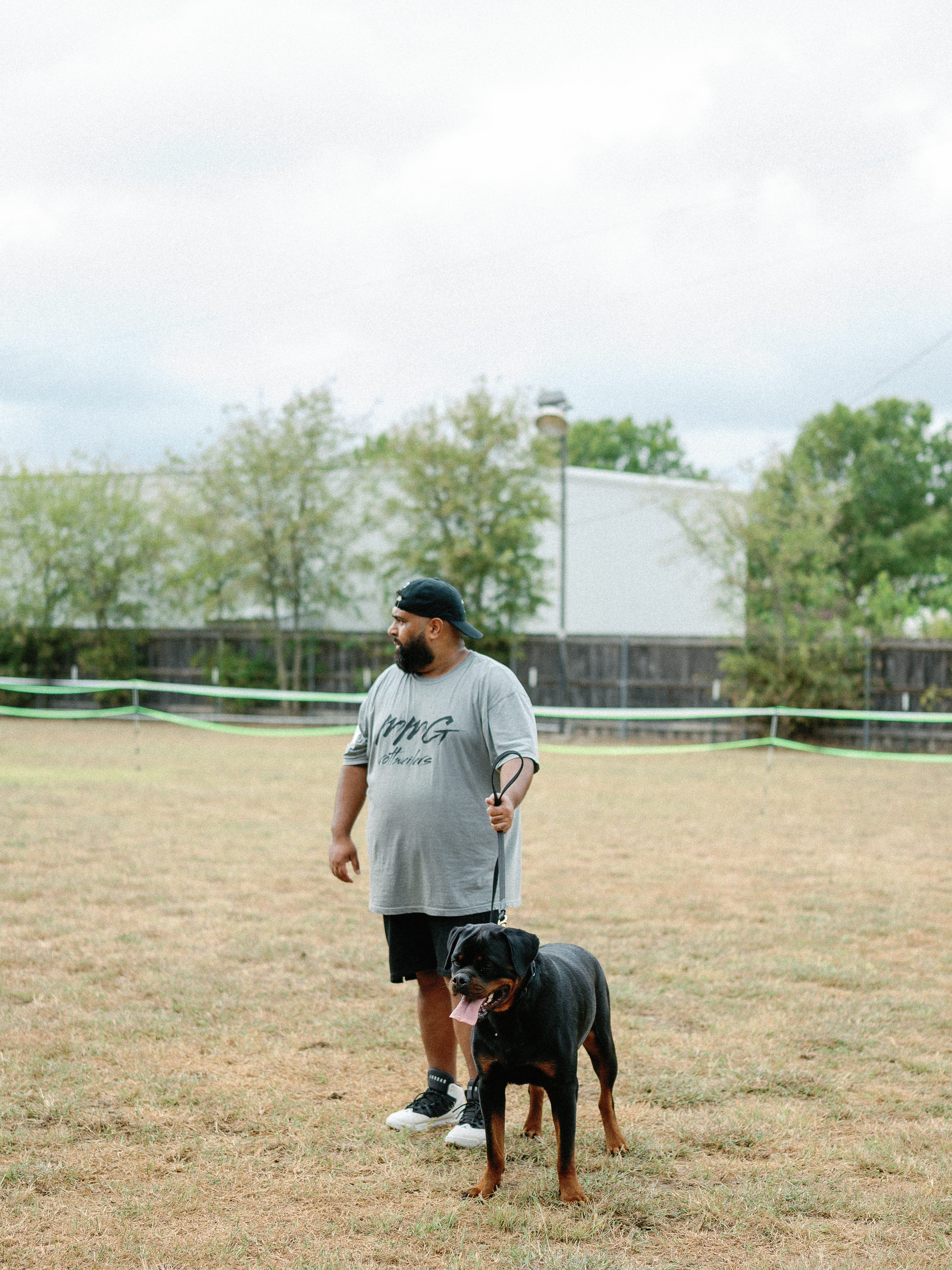 Rottweiler show dog winner - competition excellence