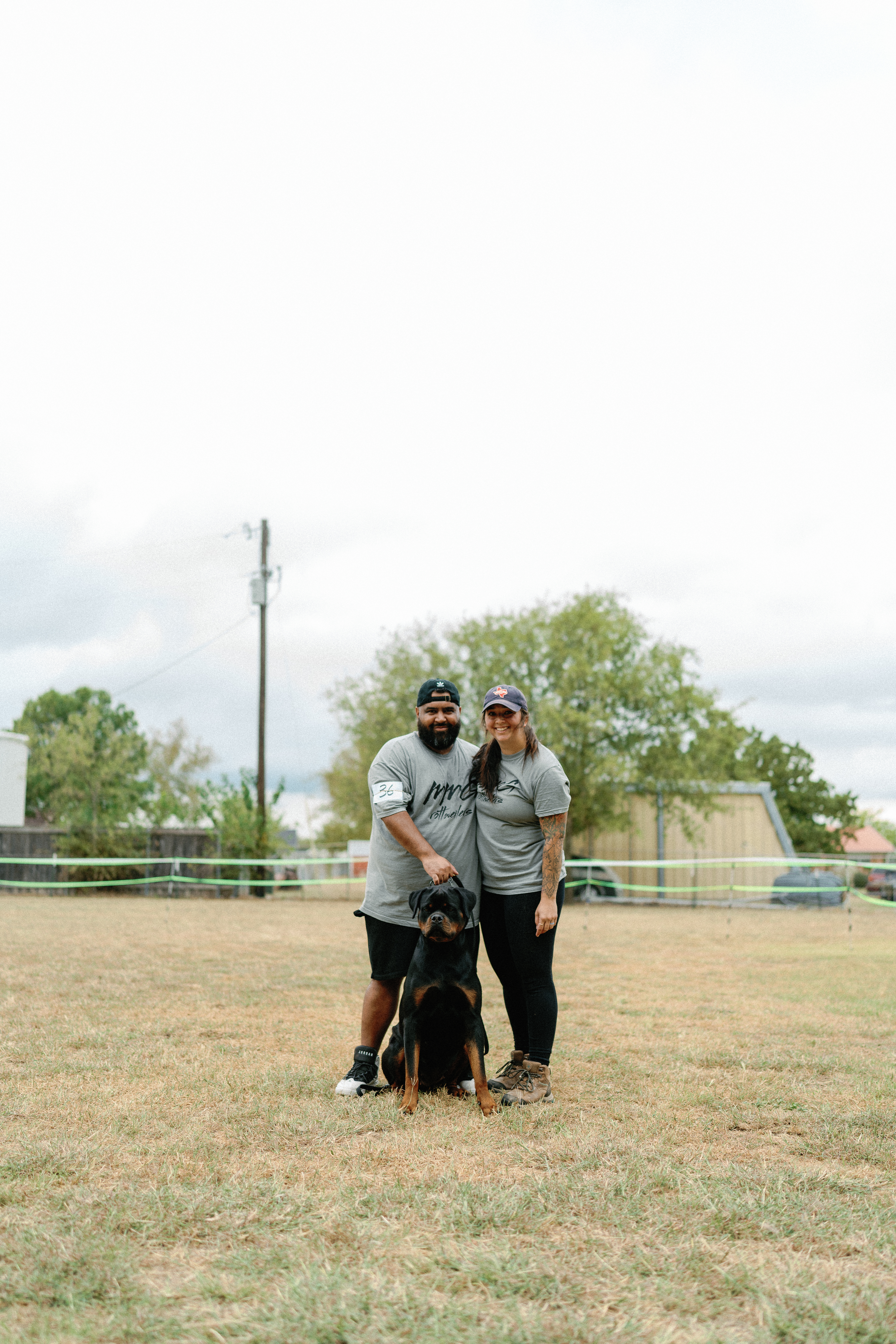Rottweiler show dog winner - competition excellence