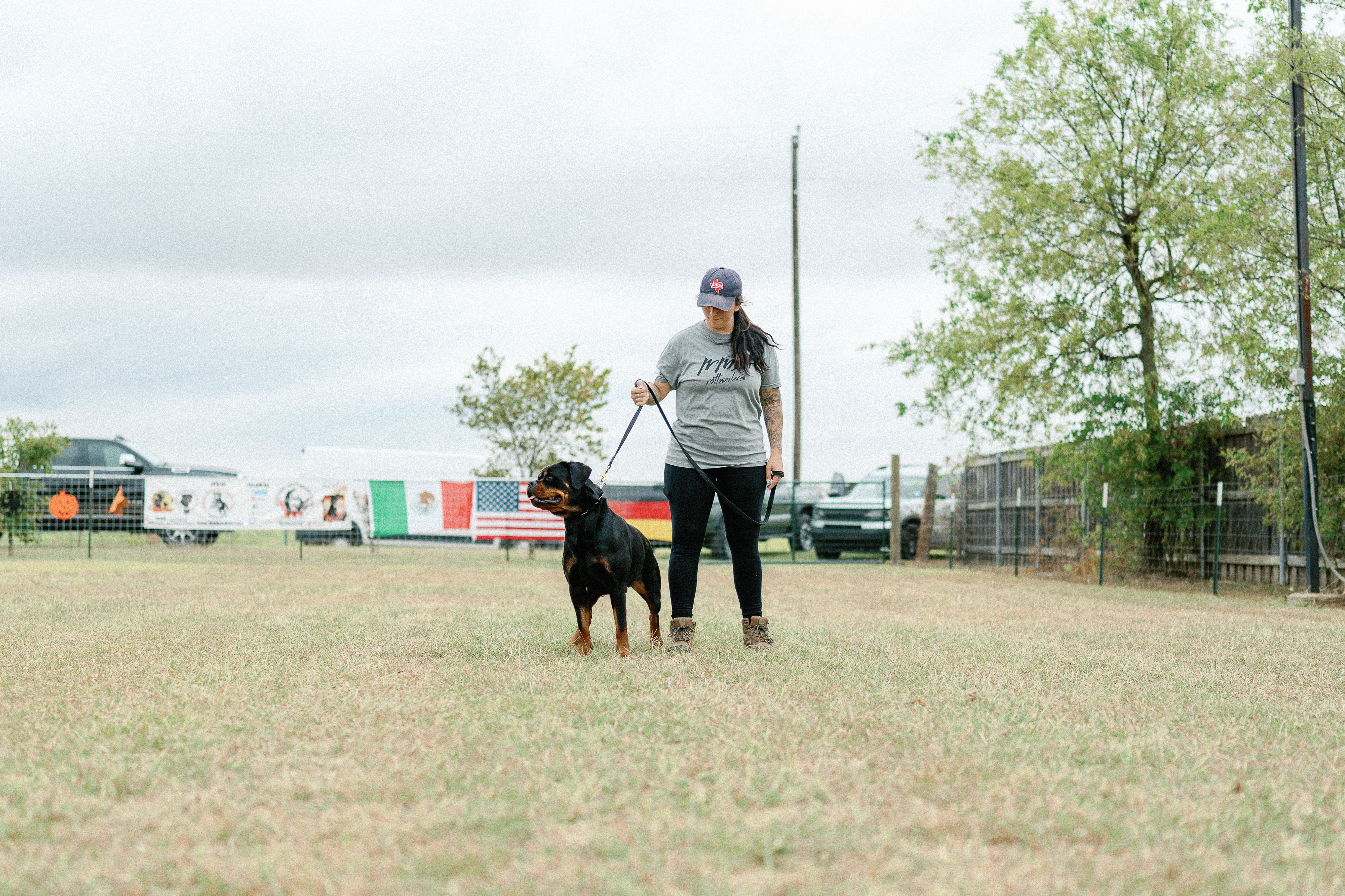 World class Rottweiler - international quality breeding program