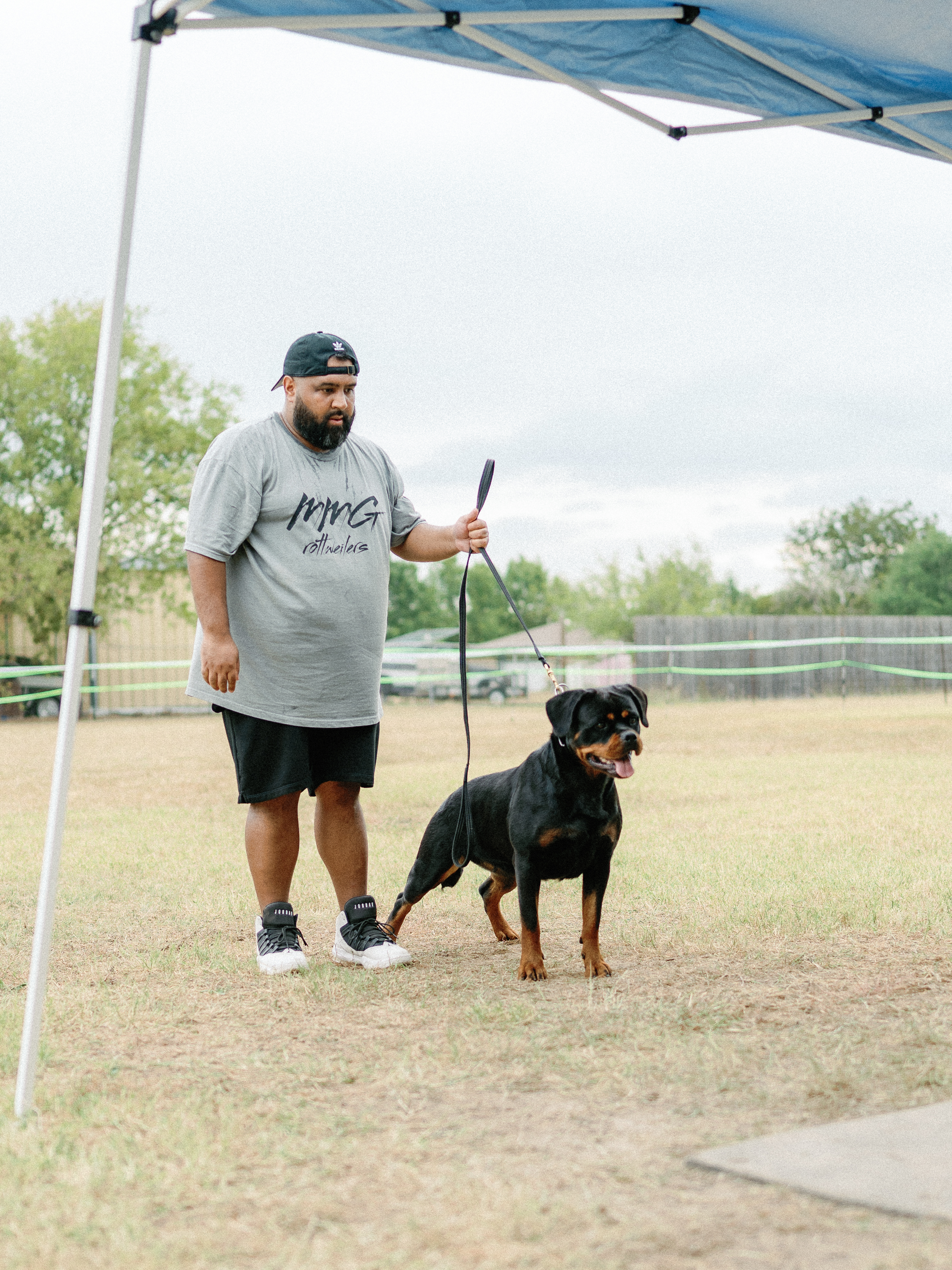 World class Rottweiler - international quality breeding program