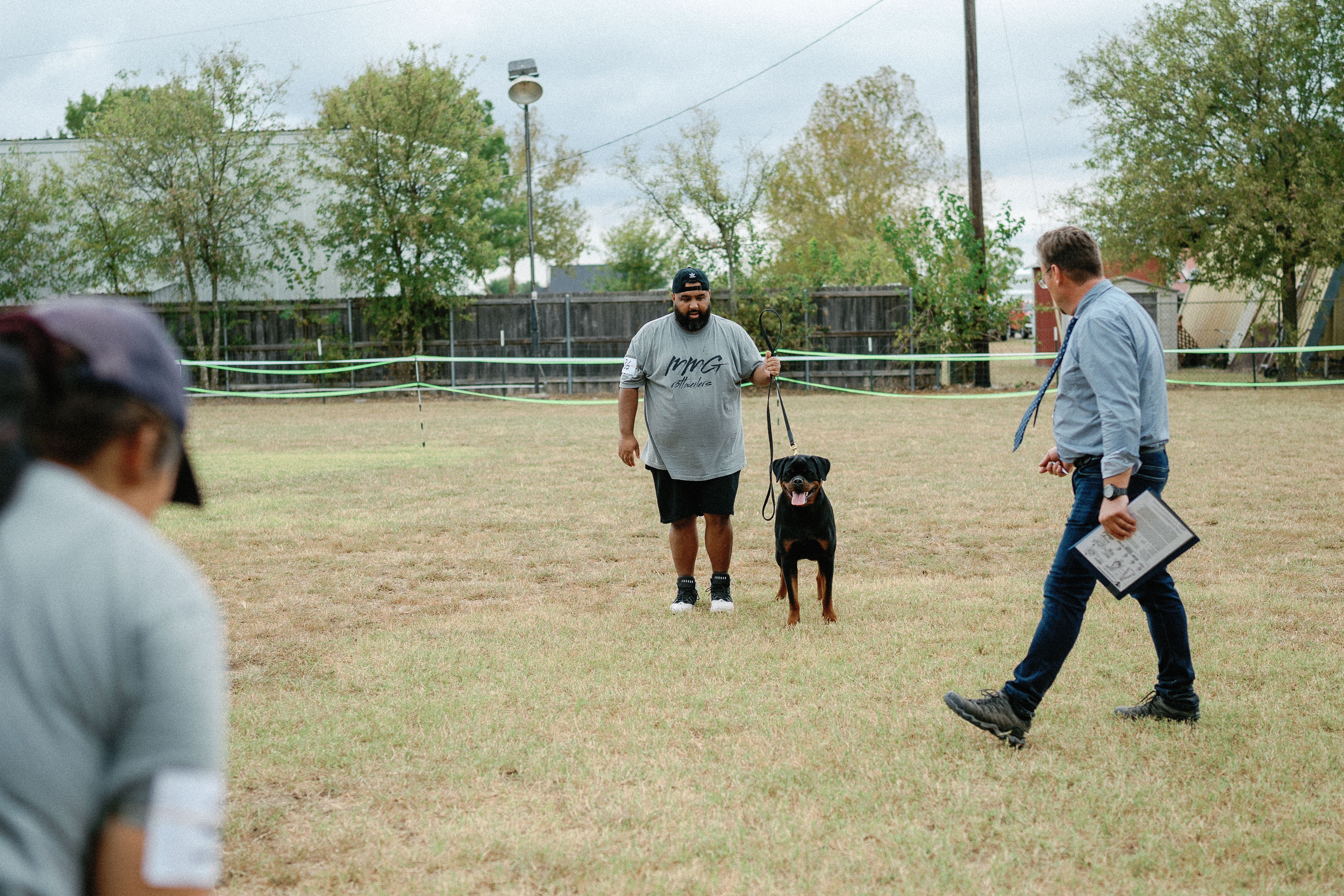 World class Rottweiler - international quality breeding program